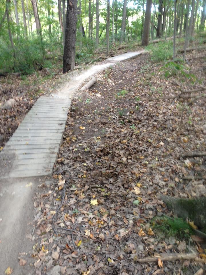A winding path through a lush forest, featuring a wooden bridge over a small section of the trail, surrounded by trees and scattered autumn leaves on the ground. Maybury mountain bike trail.