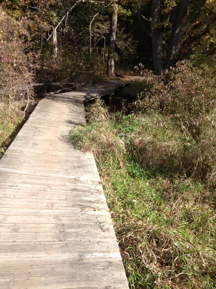 A wooden boardwalk path leads through a grassy area and into a wooded setting, with trees and shrubs lining the route. The sun casts a natural light over the scene, highlighting the textures of the wood and the greenery surrounding the path. Novi Tree Farm (Lakeshore Park) mountain bike trail.