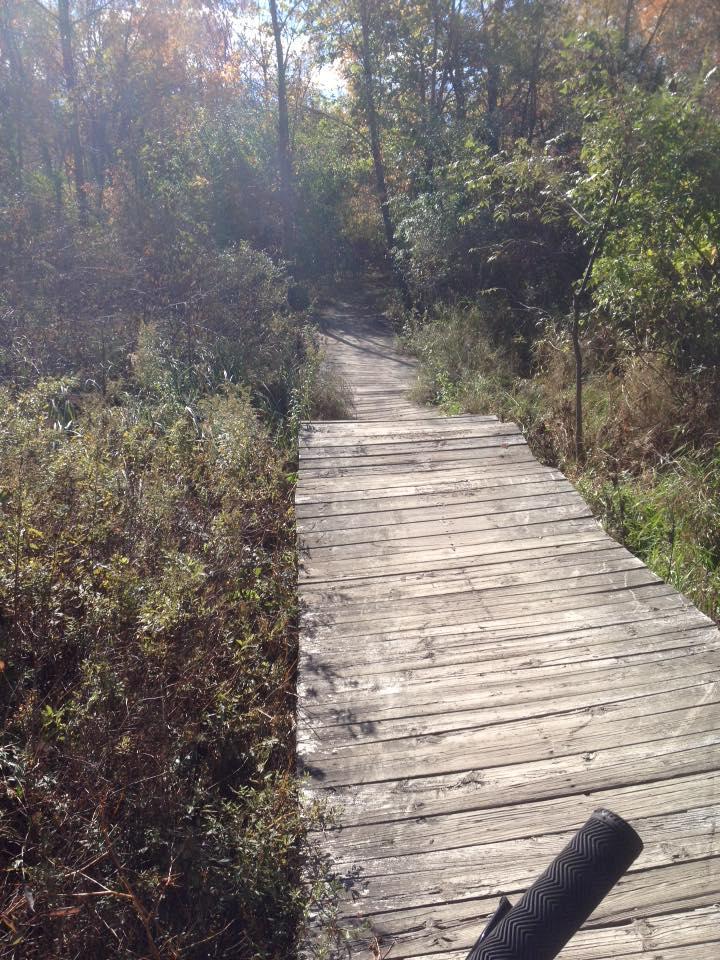 A wooden boardwalk winding through a sunlit forest trail surrounded by lush greenery and autumn foliage. The path leads into the distance, inviting exploration. A portion of a black object, possibly a walking stick or bike handle, is visible in the foreground. Novi Tree Farm (Lakeshore Park) mountain bike trail.