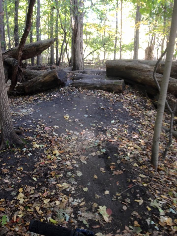 A forest path covered in fallen leaves, with large logs on either side, surrounded by trees in varying shades of green. The trail appears well-used, leading deeper into the woods. Novi Tree Farm (Lakeshore Park) mountain bike trail.