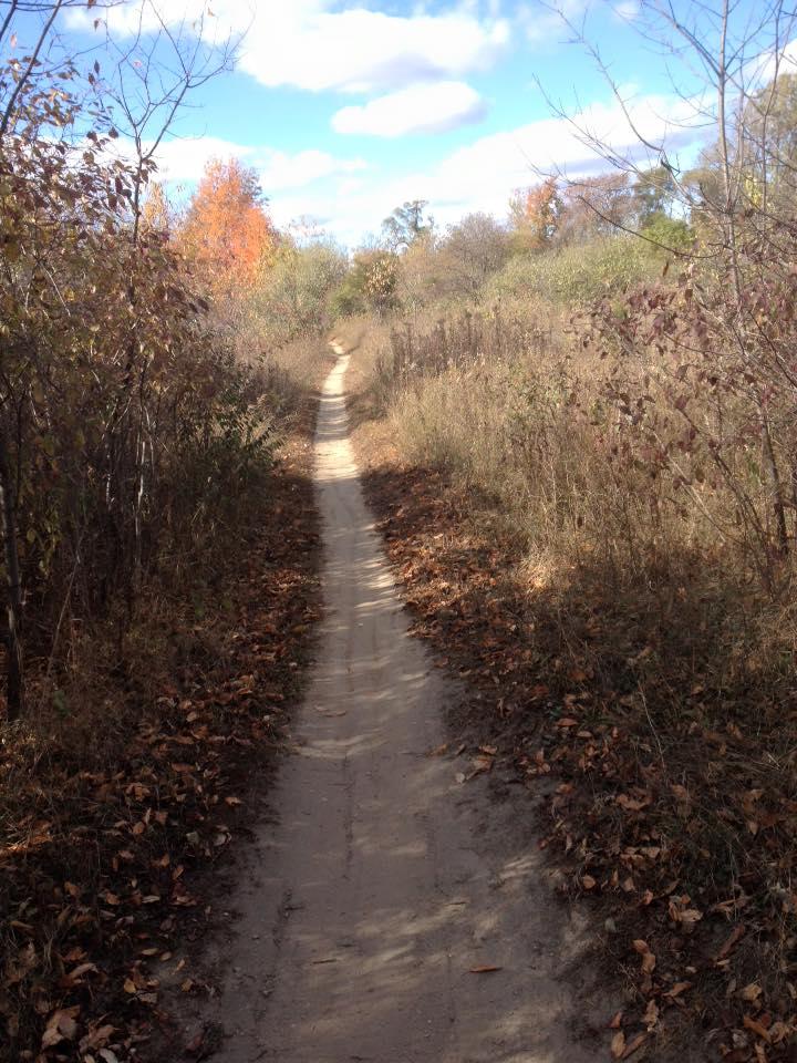A narrow dirt path winding through a landscape with shrubs and trees, some displaying fall colors. The sky is partly cloudy, and the ground is scattered with fallen leaves, creating a tranquil, natural setting. Novi Tree Farm (Lakeshore Park) mountain bike trail.