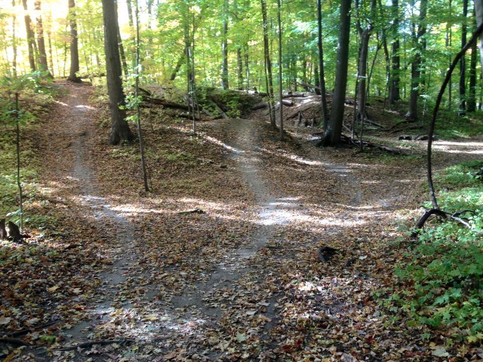 A serene forest scene showing a fork in a dirt path surrounded by trees. The ground is covered with fallen leaves and sunlight filters through the canopy, creating a peaceful ambiance. Two trails diverge into the woods, inviting exploration. Novi Tree Farm (Lakeshore Park) mountain bike trail.