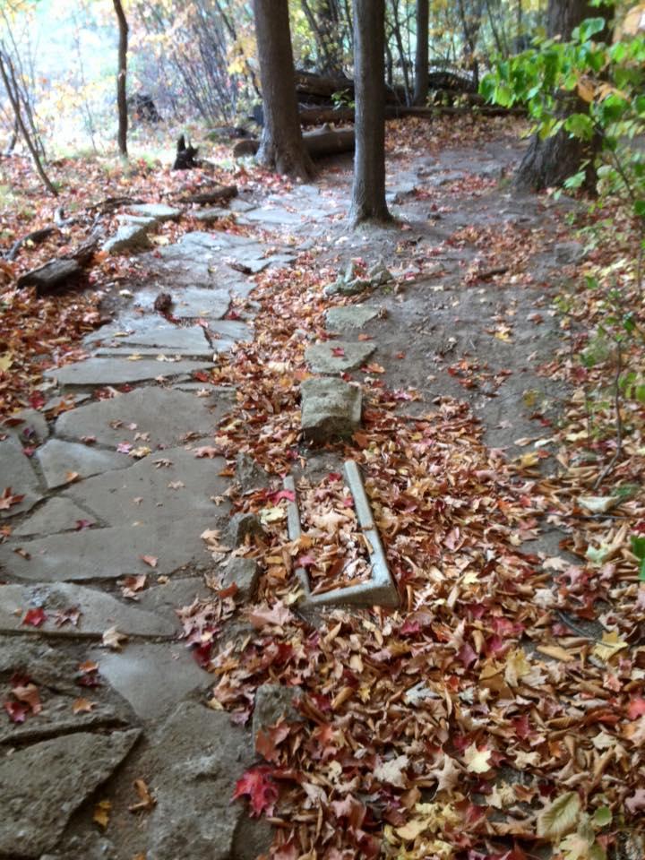 A winding stone pathway through a forest area covered in fallen autumn leaves, with trees on either side and scattered rocks along the path. Novi Tree Farm (Lakeshore Park) mountain bike trail.