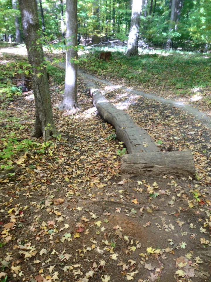 A fallen tree trunk lies across a dirt path in a wooded area, surrounded by autumn leaves. Sunlight filters through the trees, illuminating the greenery and the textured bark of the log. Novi Tree Farm (Lakeshore Park) mountain bike trail.