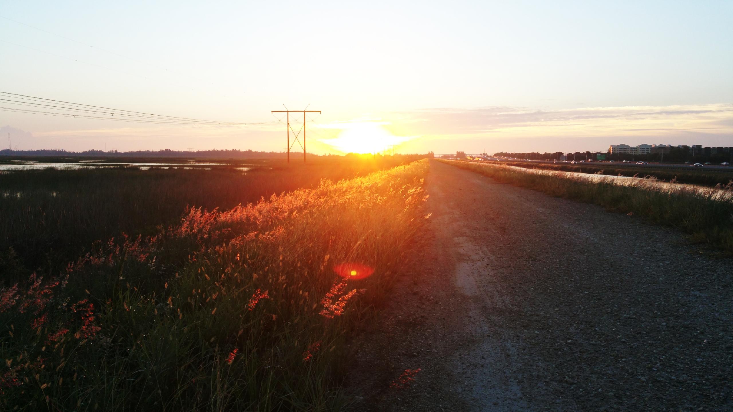 A serene landscape featuring a gravel pathway bordered by tall grasses illuminated by a sunset. The sun sets on the horizon, casting a warm golden light over the scene. In the background, electricity poles stand against a clear sky, while a calm body of water reflects the evening colors. Nearby, a road with traffic can be seen, framed by marshland and distant buildings. The Levee mountain bike trail.