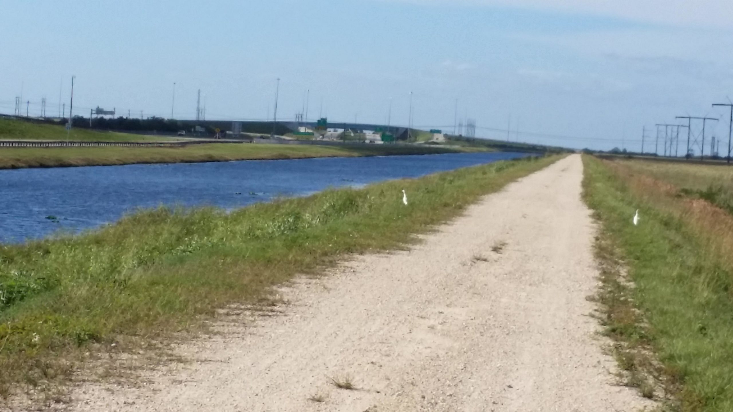 A gravel path alongside a blue canal, bordered by green grass. In the distance, a highway and power lines are visible under a clear sky. Two white birds are standing on the grassy edges near the water. The Levee mountain bike trail.
