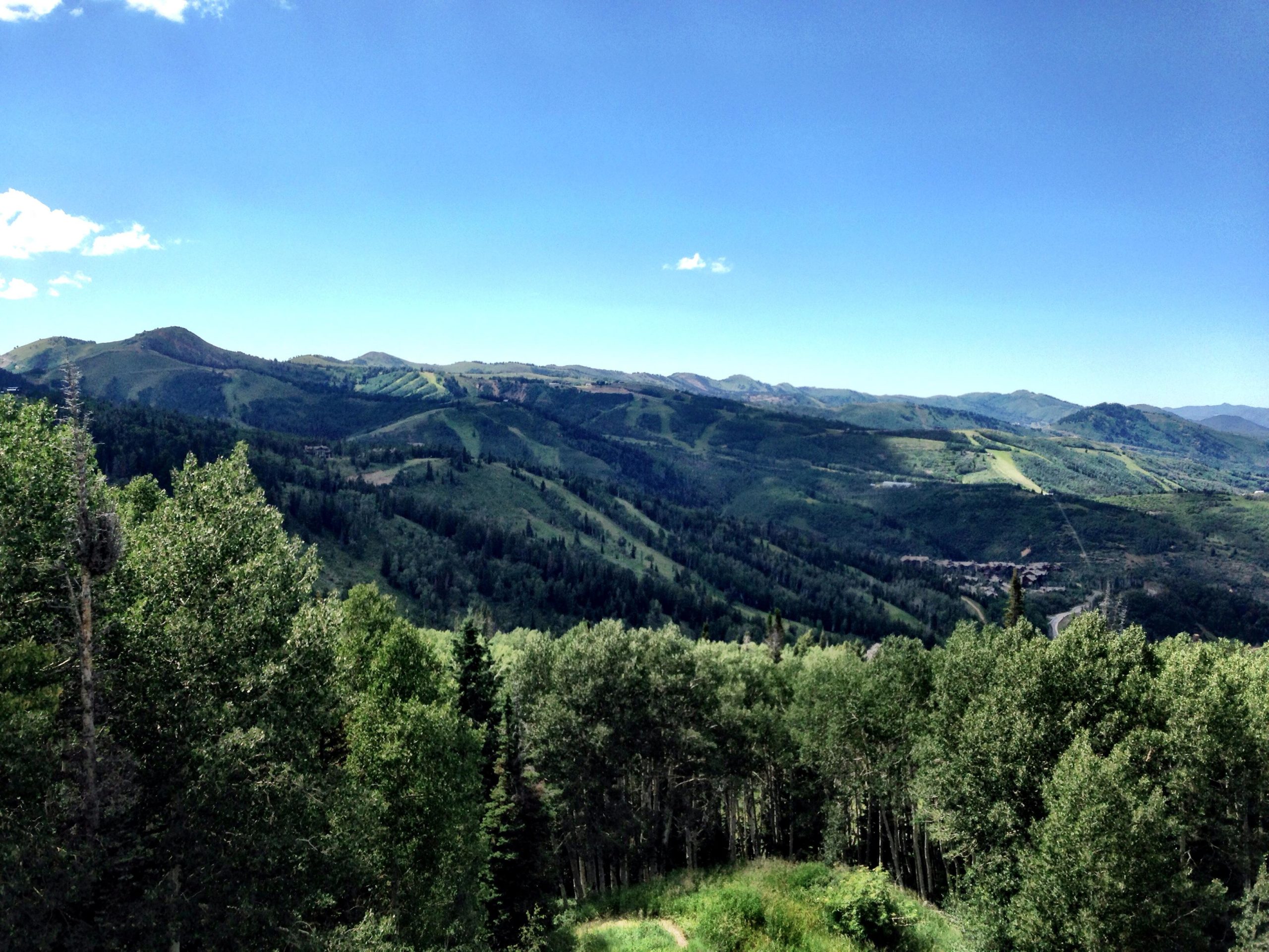 A panoramic view of rolling green mountains under a clear blue sky, with dense forests in the foreground and ski slopes visible in the distance. Deer Valley Resort Bike Park mountain bike trail.
