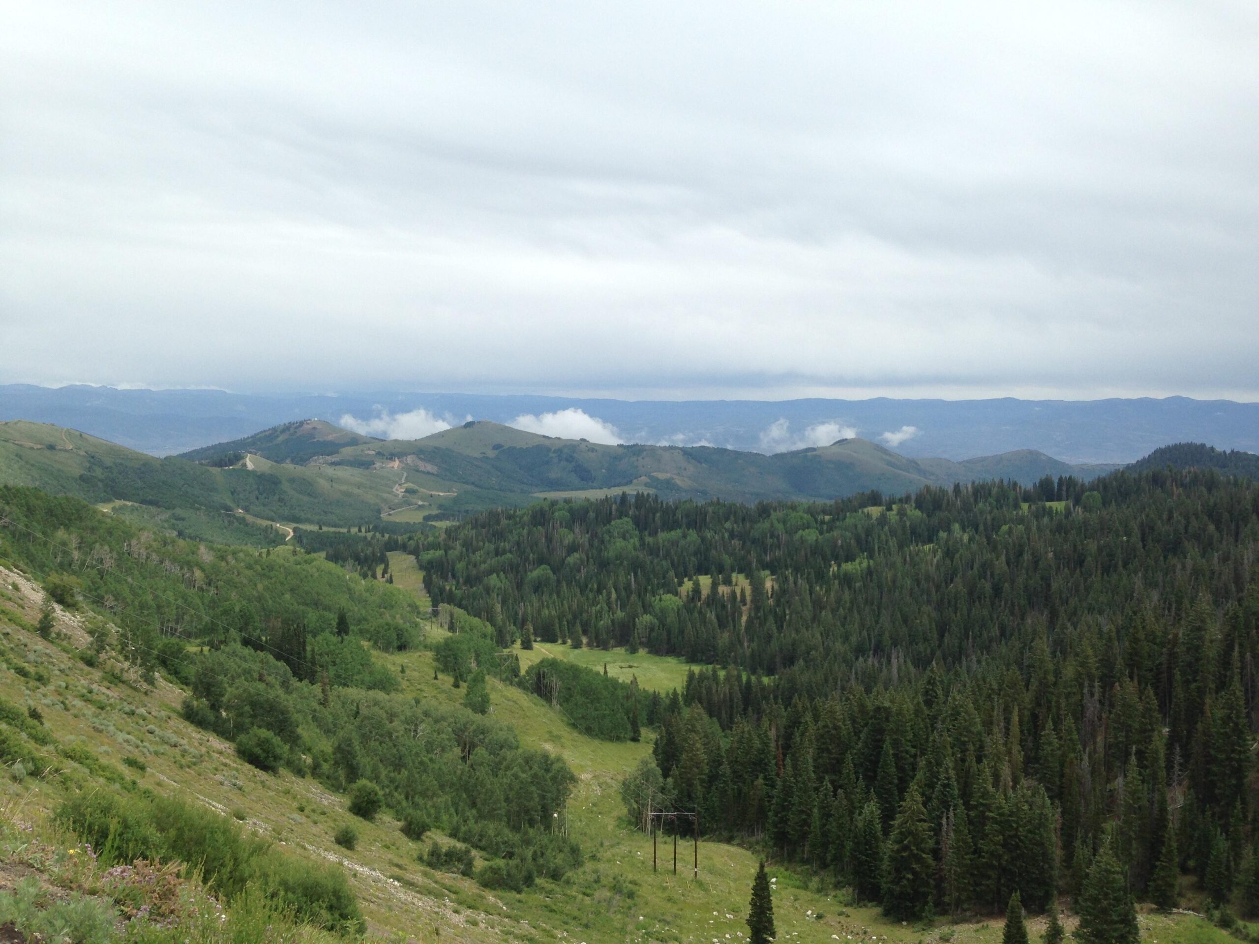 A scenic view of rolling green hills and distant mountains under a cloudy sky. The landscape features a mix of dense forests and open meadows, with a winding road visible in the valley below. Soft clouds are scattered across the horizon, enhancing the serene atmosphere of the natural setting. Wasatch Crest mountain bike trail.