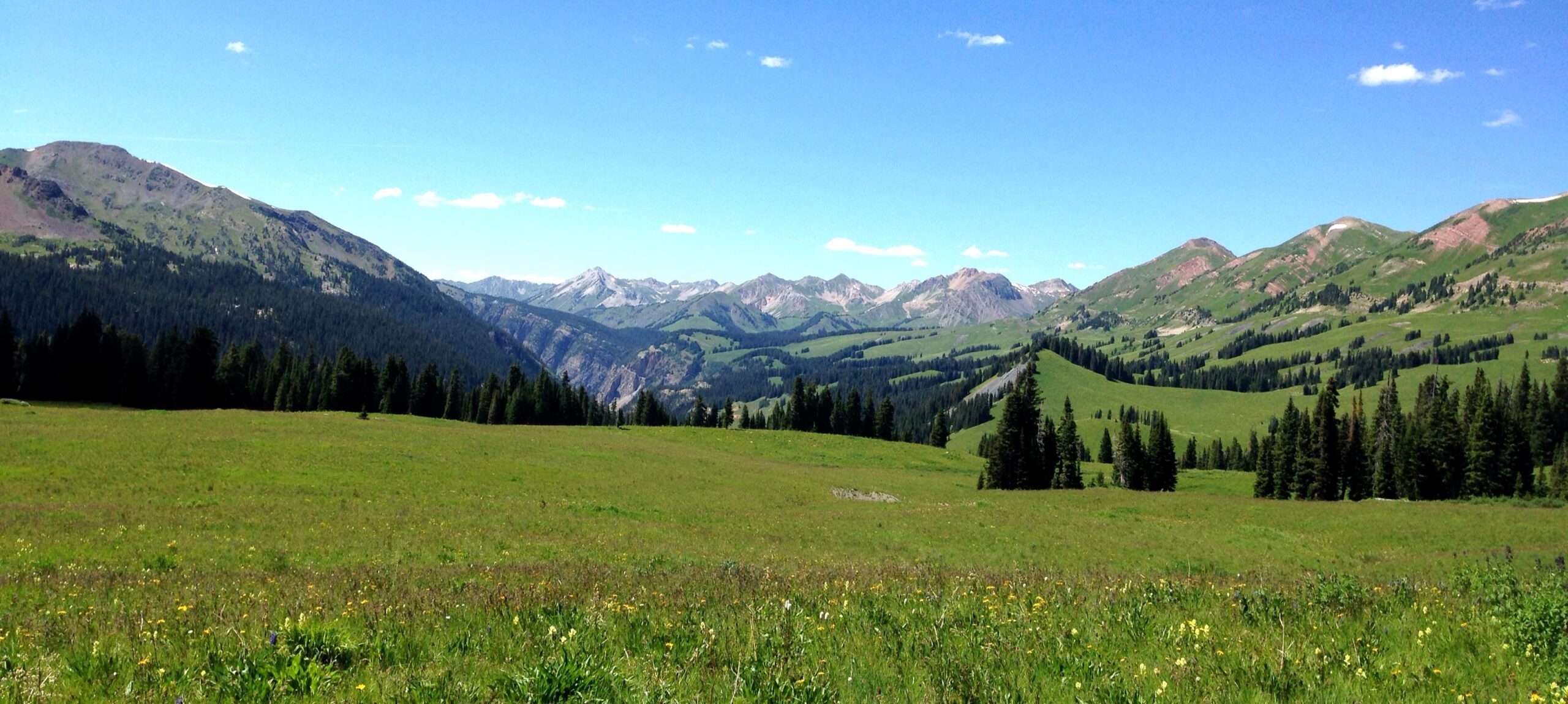 A panoramic view of rolling green hills and mountain ranges under a bright blue sky, with scattered clouds. The landscape features a field of wildflowers in the foreground and dense evergreen trees, transitioning to rocky peaks in the background, showcasing a serene and picturesque natural setting. Trail 401 mountain bike trail.