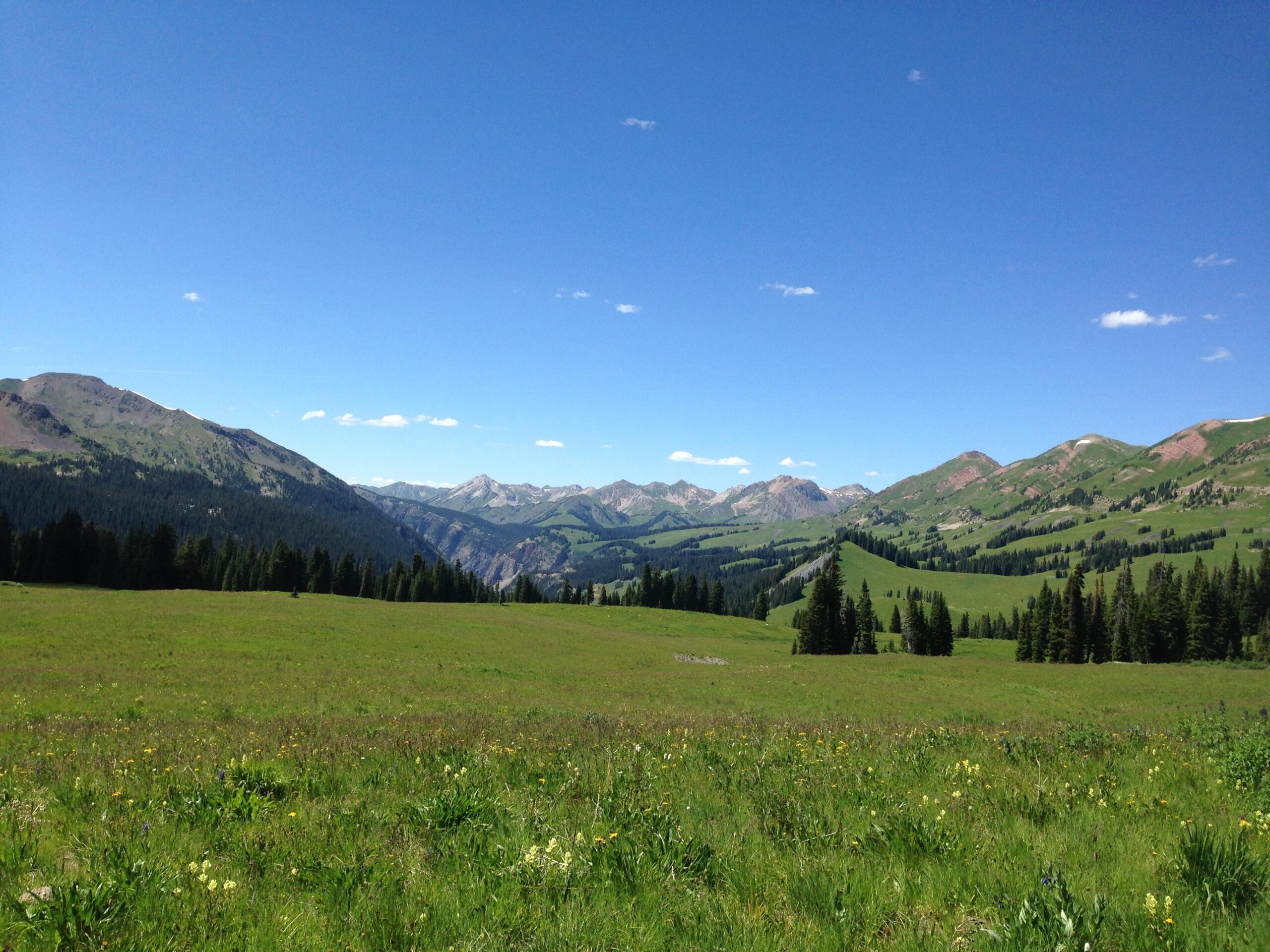 A vibrant landscape featuring rolling green hills, scattered wildflowers, and a backdrop of mountains under a clear blue sky with a few wispy clouds. The scene captures the beauty of nature in a sunny, open meadow. Trail 401 mountain bike trail.