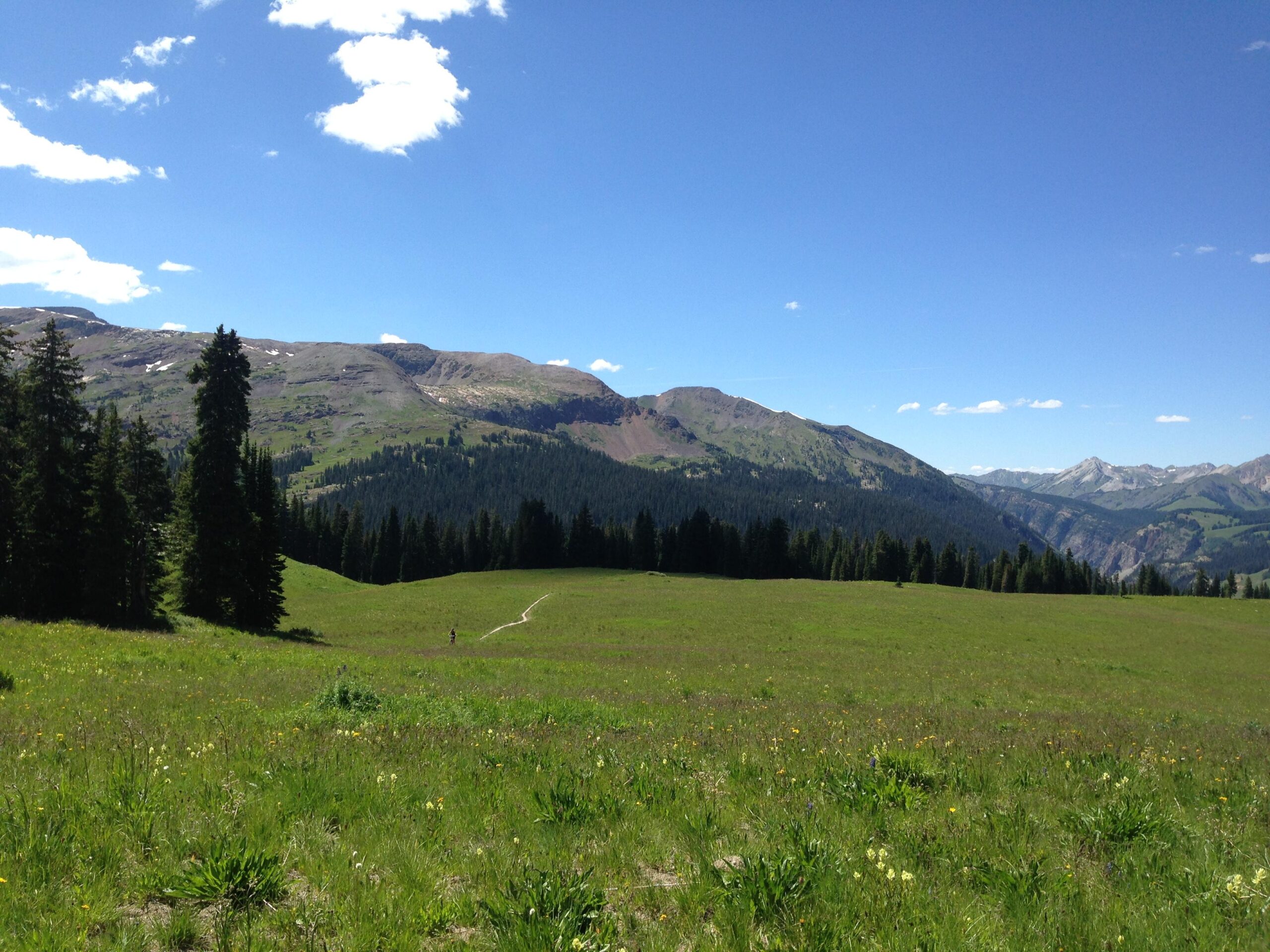 A scenic landscape featuring rolling green hills and mountains under a bright blue sky with a few clouds. Pine trees line the left side of the image, while a winding path cuts through the grassy meadow in the foreground, leading into the distant mountains. The scene conveys a sense of tranquility and natural beauty. Trail 401 mountain bike trail.