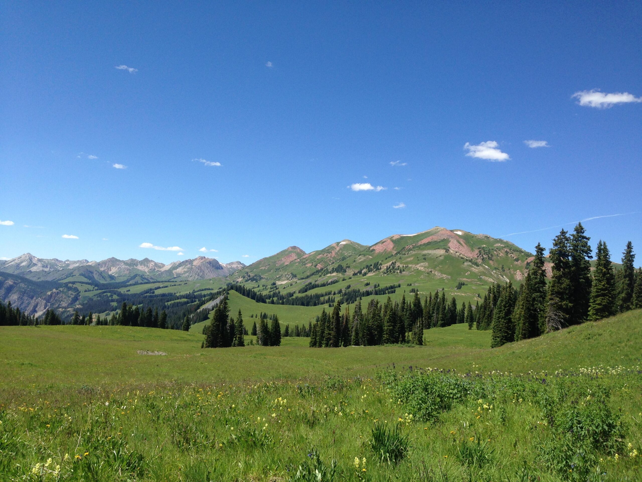 A panoramic view of rolling green hills and mountains under a clear blue sky, dotted with a few clouds. The foreground features a vibrant field of wildflowers, while tall evergreen trees line the edges, leading up to mountainous terrain in the distance. Trail 401 mountain bike trail.