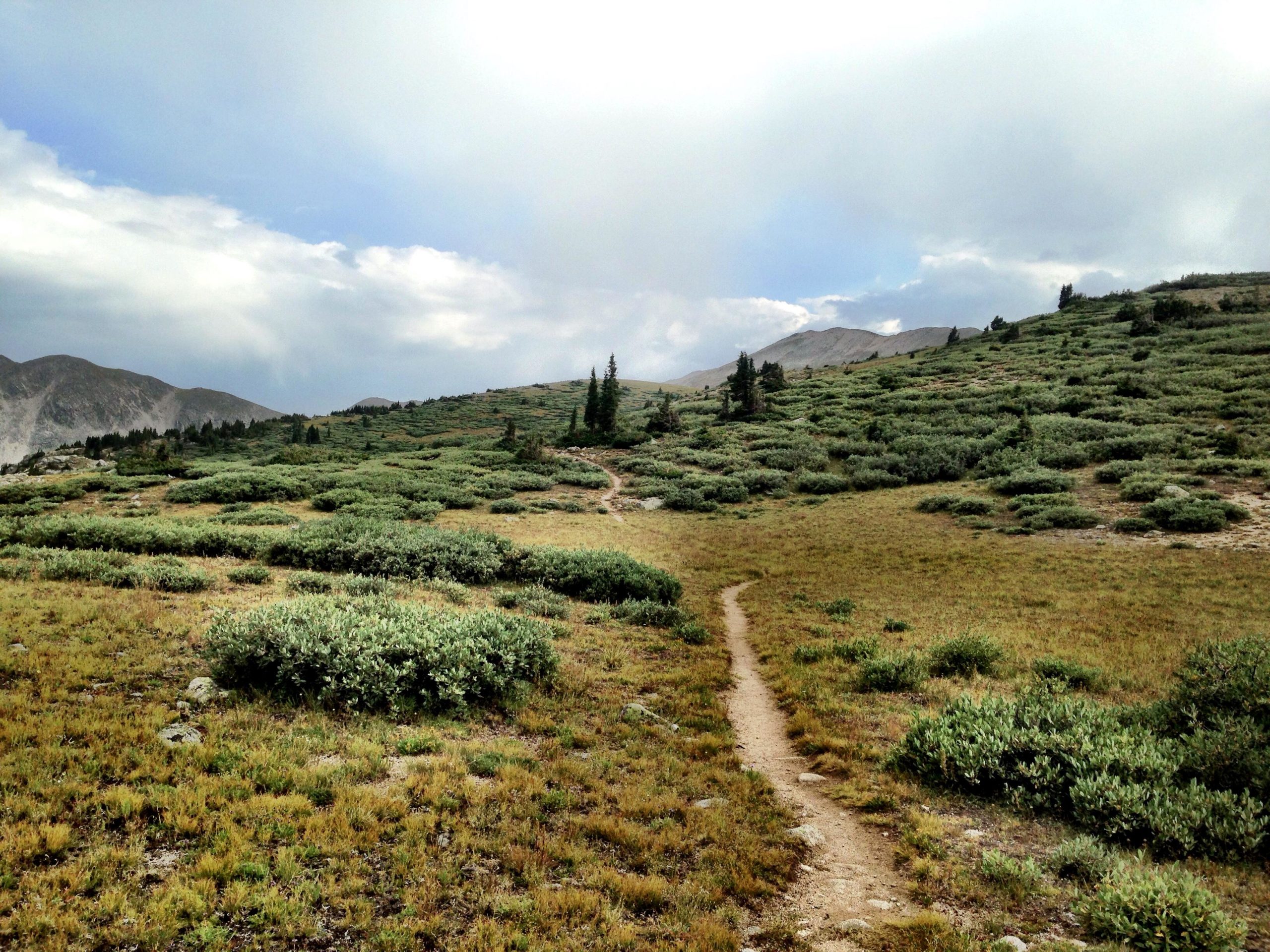 A winding dirt path traverses a grassy landscape dotted with shrubs, leading into a distant mountainous region under a cloudy sky. The scene captures a serene and natural setting with a mix of greenery and rocky terrain. CDT: Alpine Tunnel mountain bike trail.