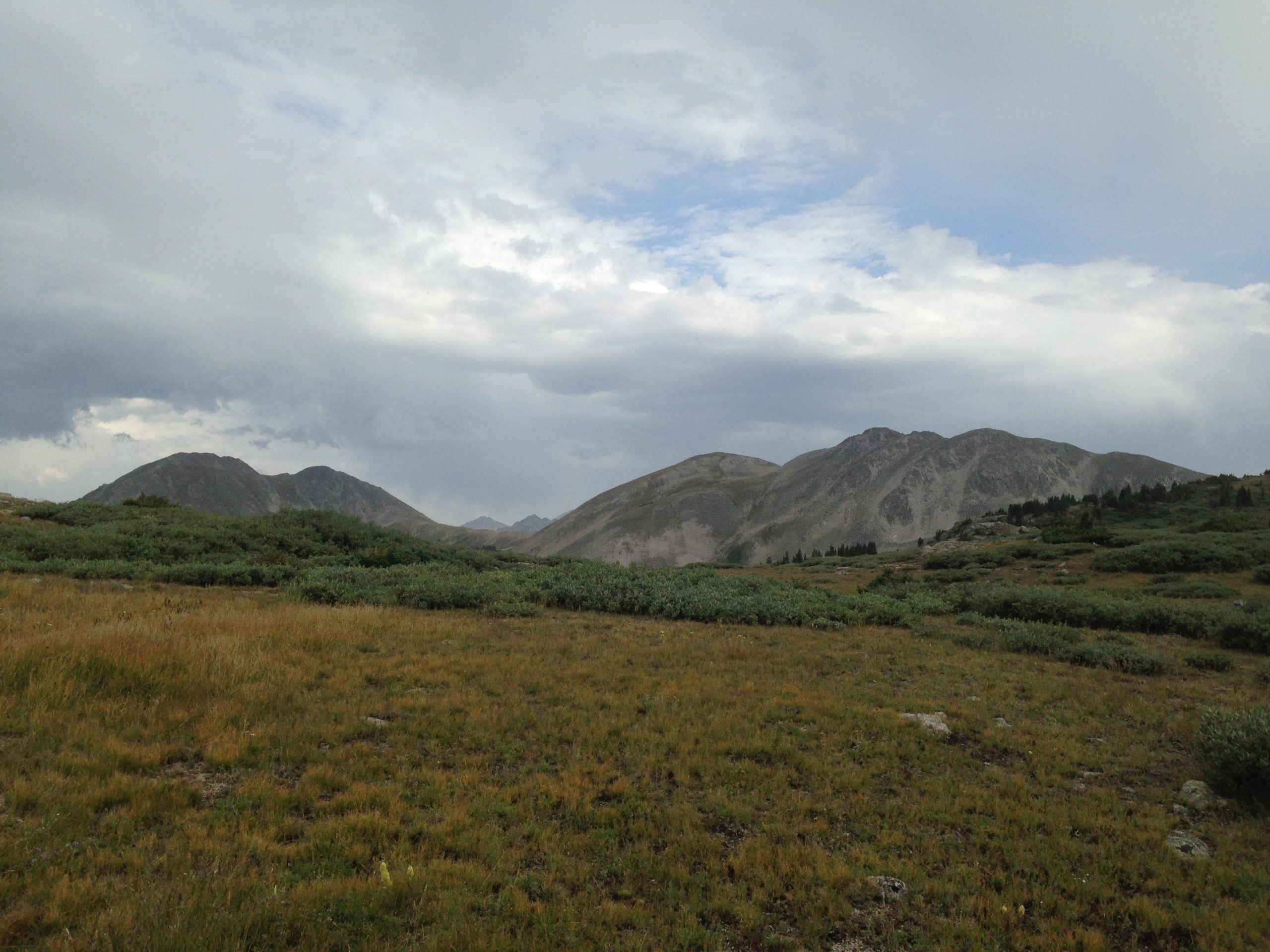 A panoramic view of mountainous terrain under a cloudy sky, featuring rolling hills covered with green vegetation and patches of dry grass in the foreground. The landscape reflects a natural, serene environment. CDT: Alpine Tunnel mountain bike trail.