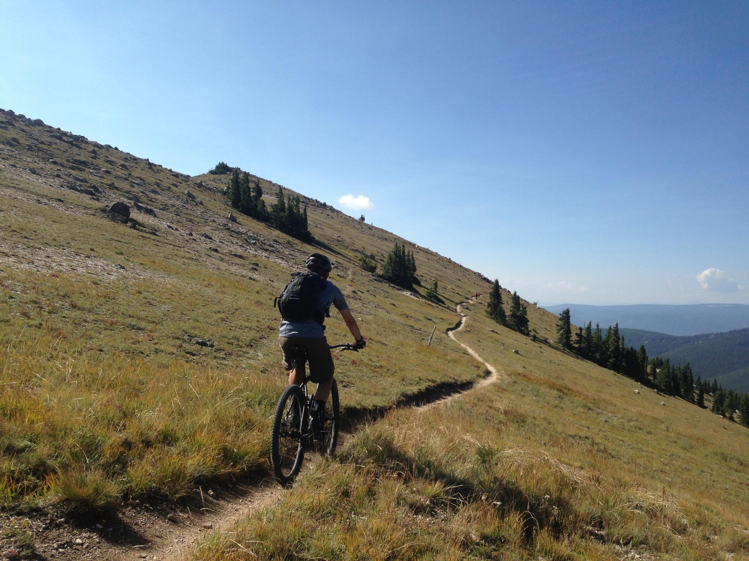 A person riding a mountain bike along a dirt trail that winds through a grassy landscape. The path leads up a slope with scattered rocks and patches of trees, under a clear blue sky. Monarch Crest Trail mountain bike trail.