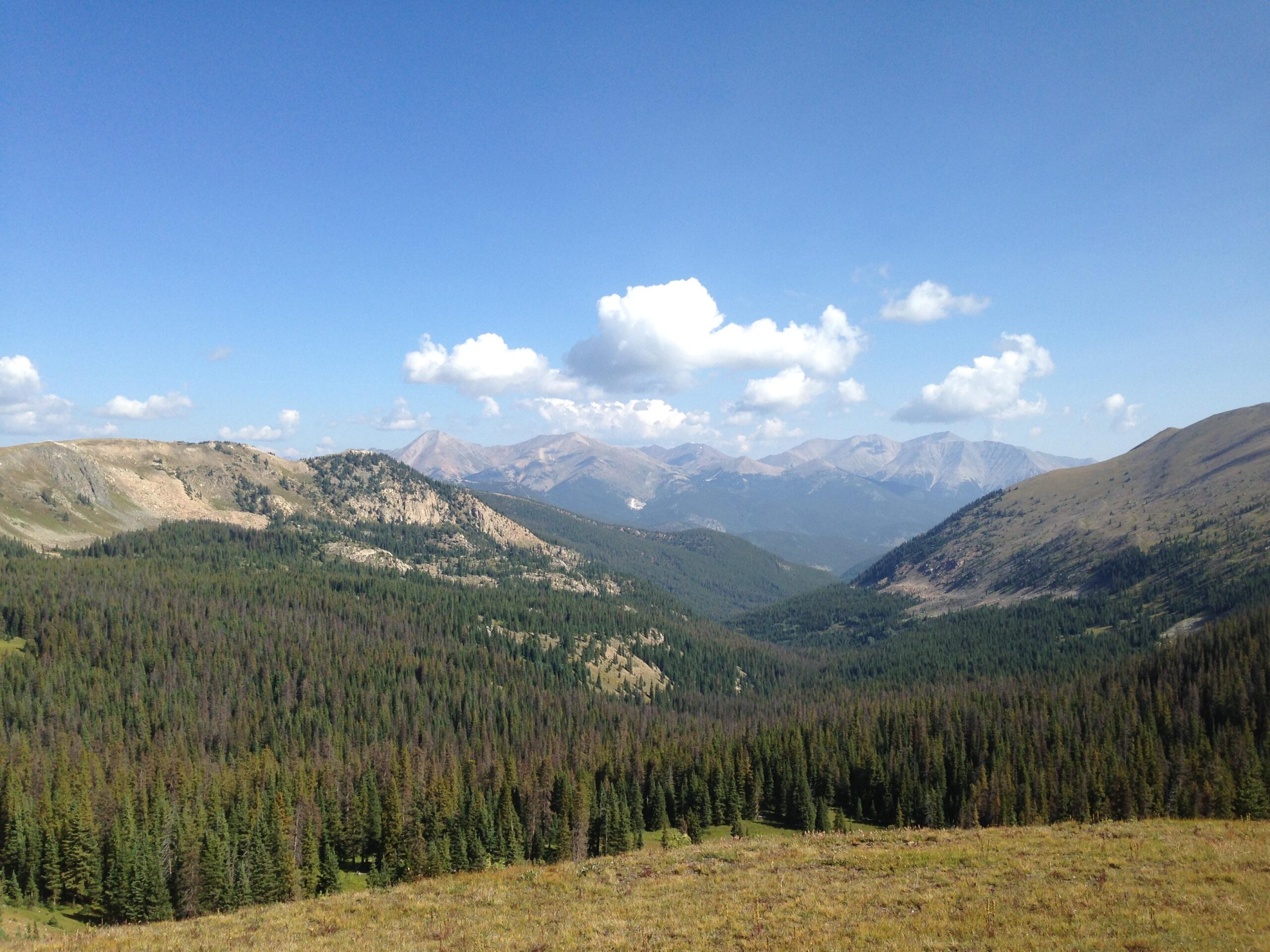 A panoramic view of a mountainous landscape under a clear blue sky, featuring rolling hills covered in dense evergreen forests and distant mountain peaks. Fluffy white clouds are scattered across the sky, casting soft shadows over the valleys below. Monarch Crest Trail mountain bike trail.