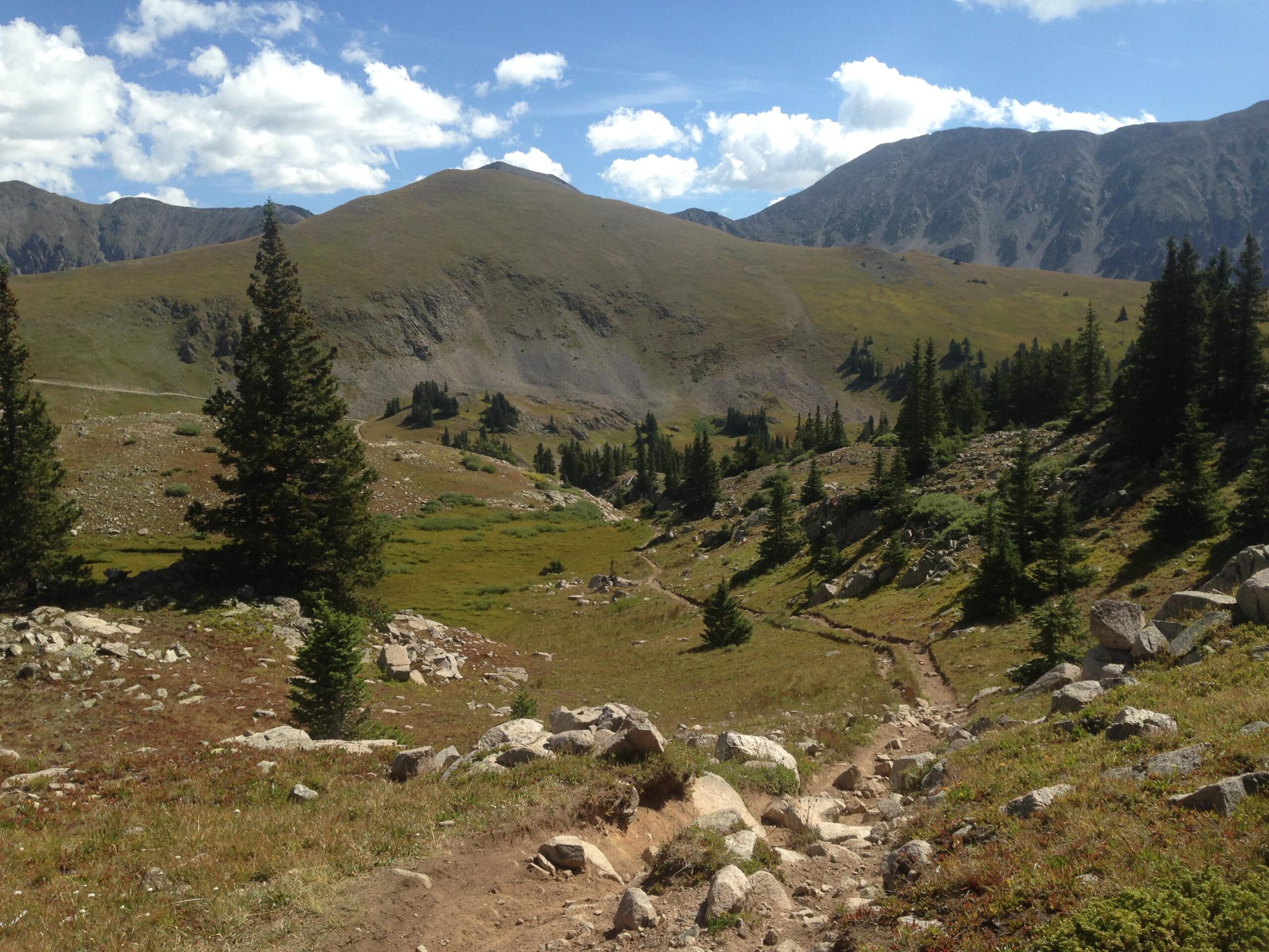 A panoramic view of a mountainous landscape featuring rolling hills, evergreen trees, and a clear blue sky scattered with clouds. A winding dirt path leads through a grassy meadow, surrounded by rocky terrain and distant peaks. The scene captures the natural beauty and tranquility of an outdoor wilderness area. Canyon Creek Trail mountain bike trail.