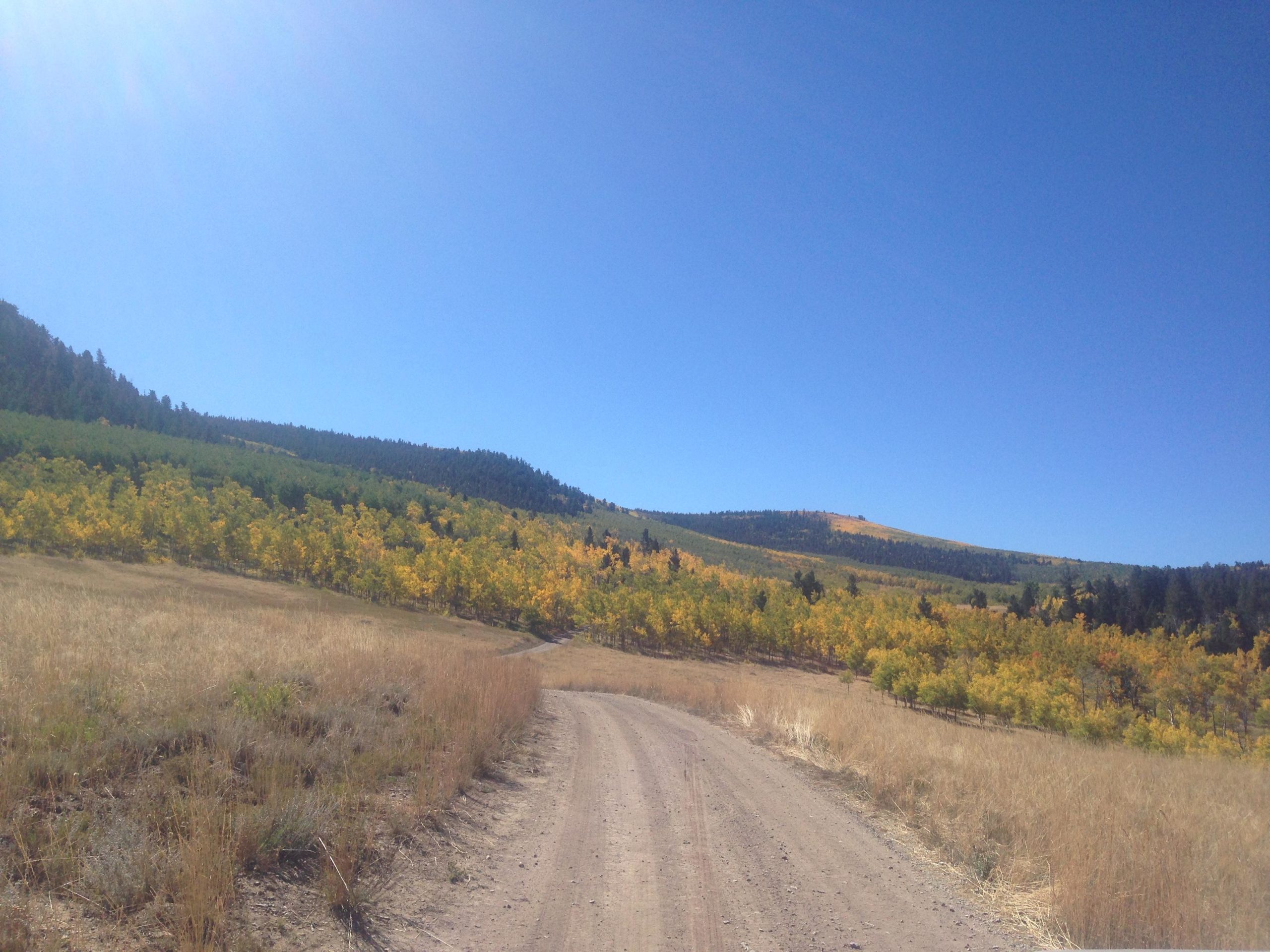 A winding dirt road leads through a landscape of gently rolling hills, featuring a mix of green and vibrant yellow foliage under a clear blue sky. The terrain transitions from grassy fields to tree-covered slopes, showcasing the beauty of autumn. Aspen Ridge / Road #185 mountain bike trail.