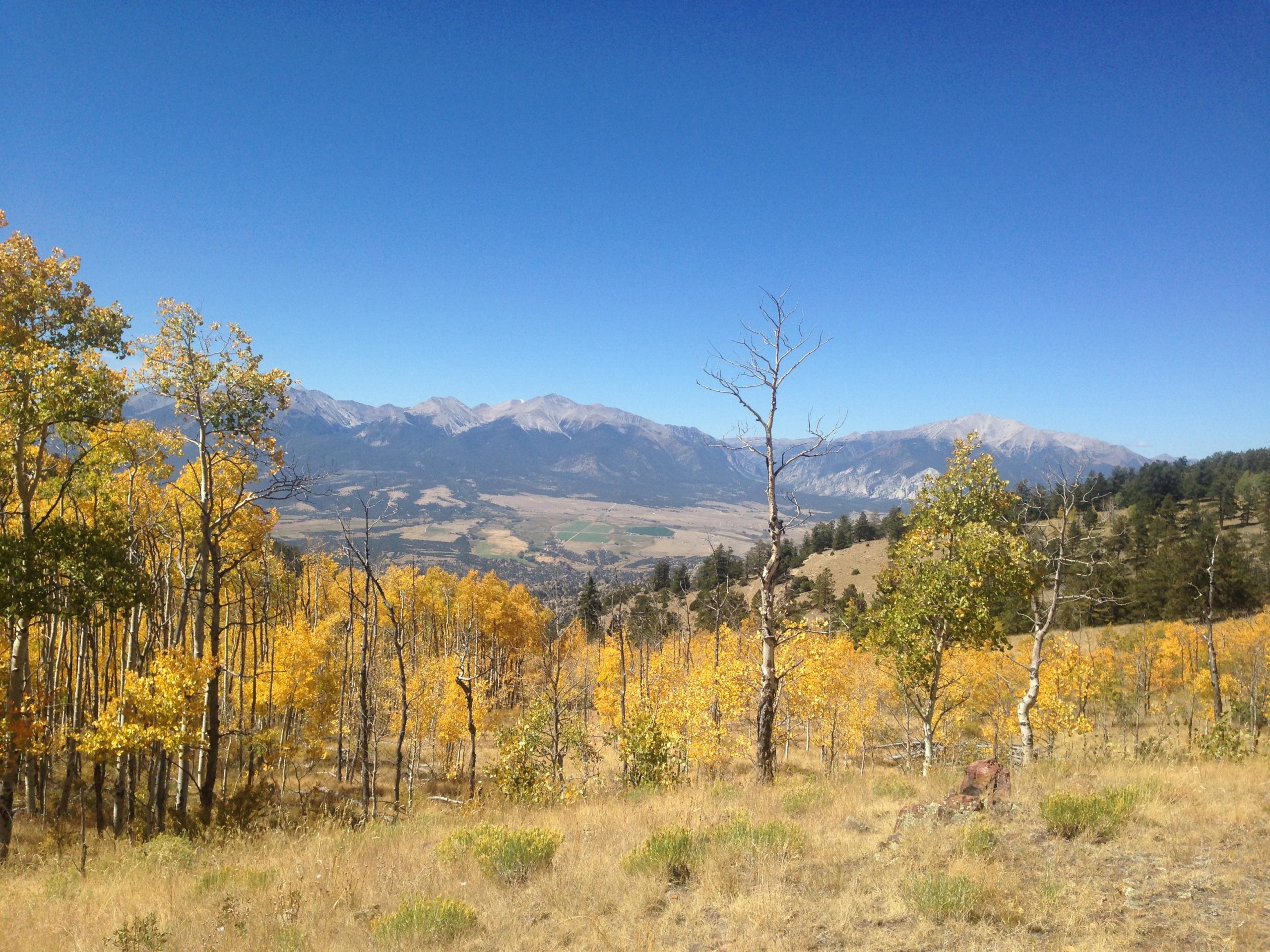 A scenic view of a mountainous landscape in autumn, featuring vibrant yellow aspen trees in the foreground, a clear blue sky, and rugged mountains in the background. The rolling hills and valleys below showcase a mix of greenery and agricultural fields. Aspen Ridge / Road #185 mountain bike trail.
