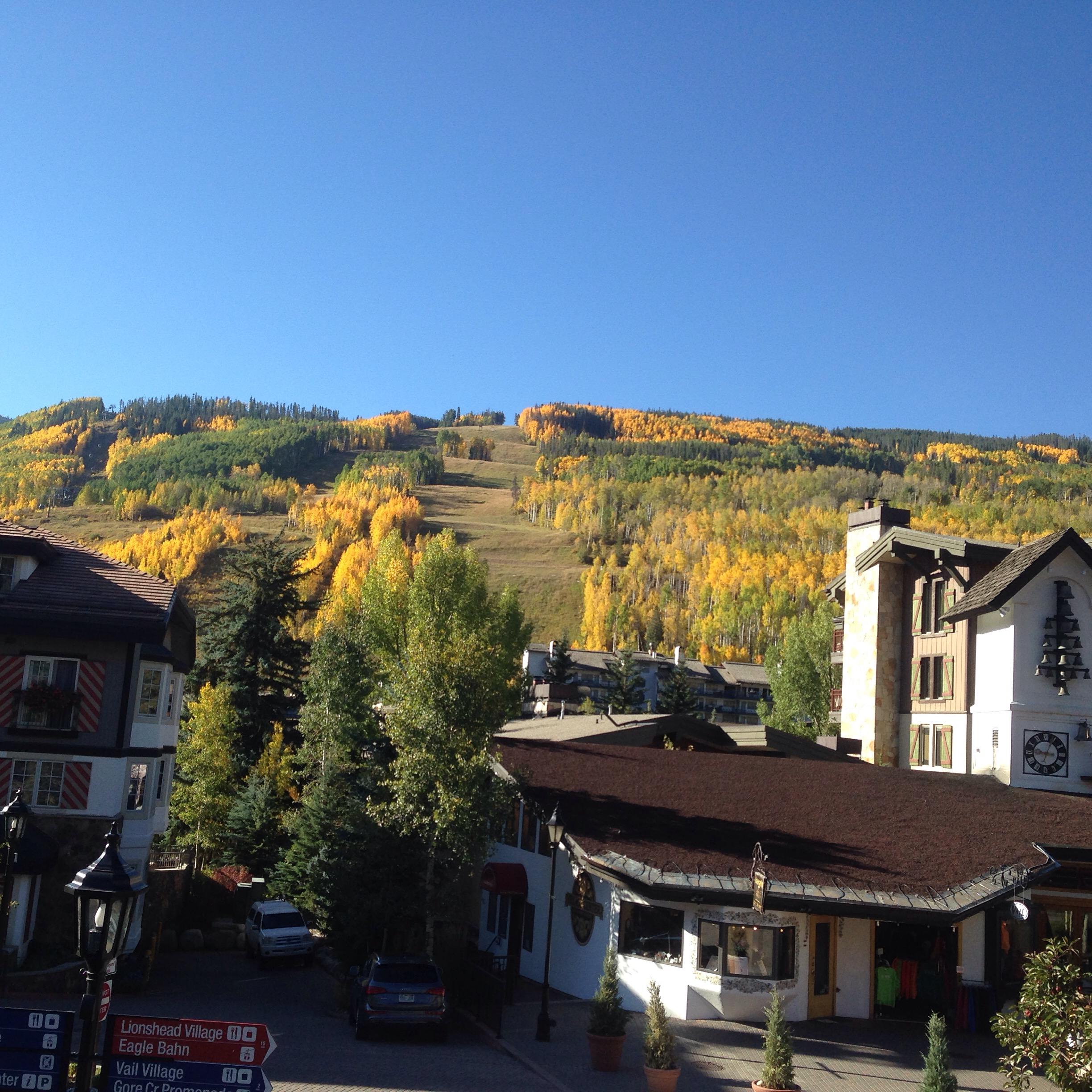A scenic view of a mountain slope covered in vibrant fall foliage, featuring shades of yellow and green, under a clear blue sky. In the foreground, there are charming buildings with alpine architecture and a signpost indicating directions to various village areas. The scene captures the essence of autumn in a mountainous region. Vail Mountain Bike Park mountain bike trail.