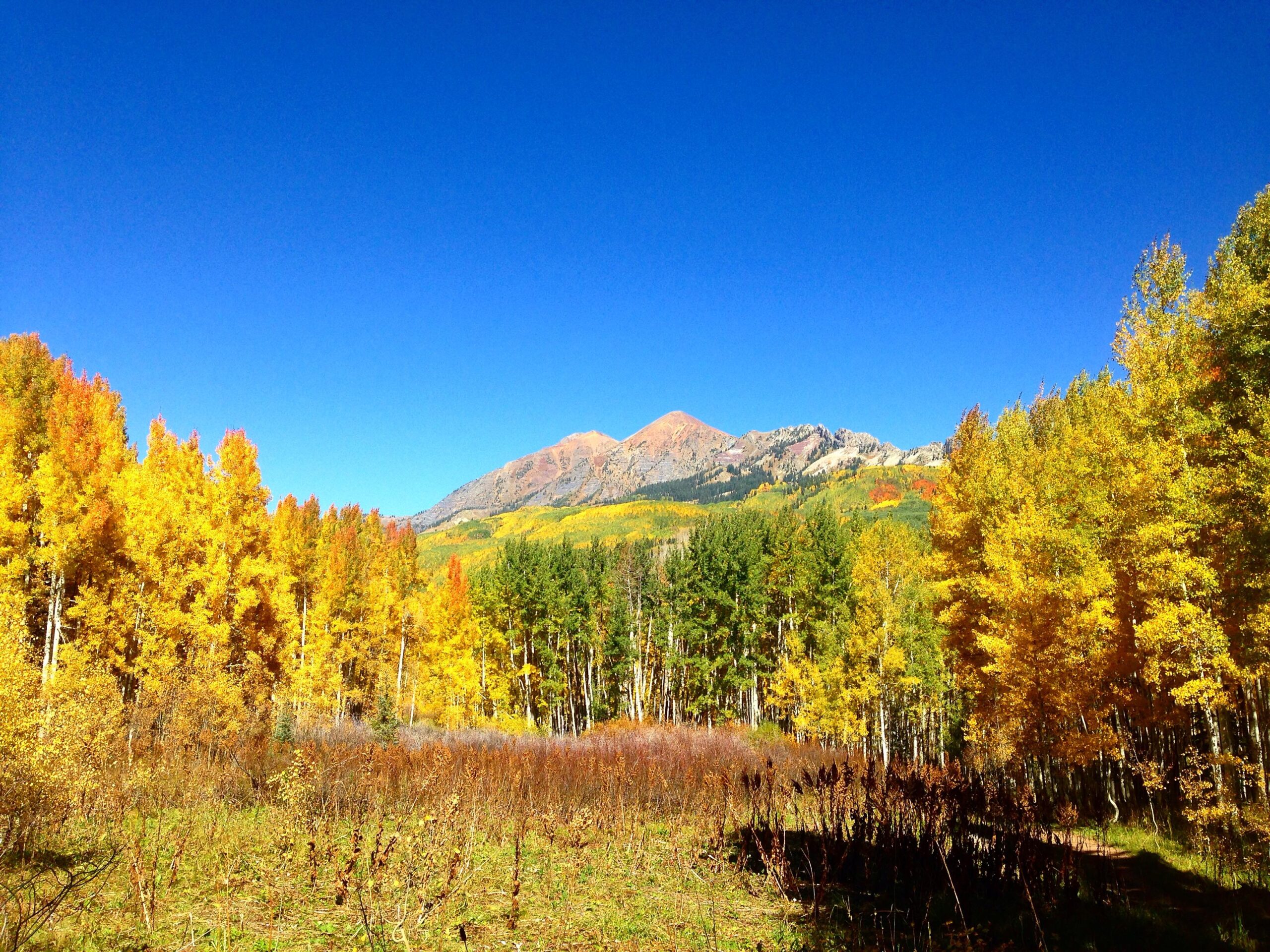 Cliff Creek Loop Mountain Bike Trail in Crested Butte, Colorado