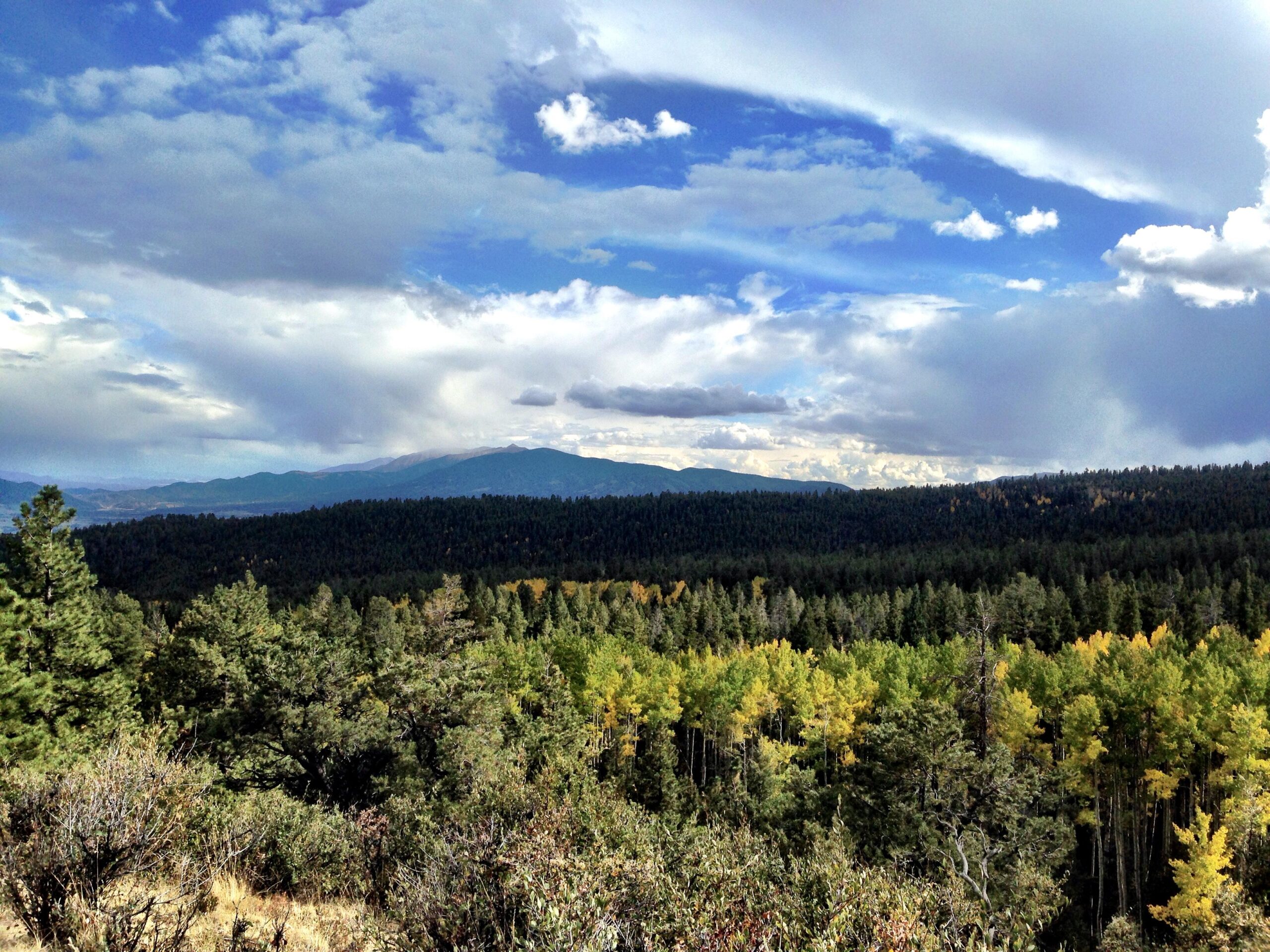 A panoramic view of a forested landscape featuring a mix of evergreen and aspen trees, with patches of yellow foliage. The background displays rolling hills and mountains under a partly cloudy sky, creating a serene and picturesque natural scene. Colorado Trail: Mt. Shavano thd to Chalk Creek thd mountain bike trail.