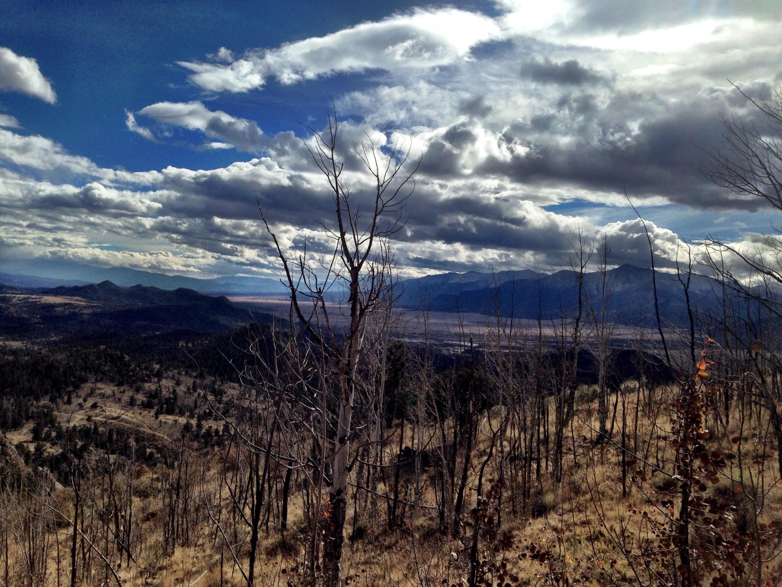 A panoramic view of a mountainous landscape under a partly cloudy sky. The foreground features dry trees and sparse vegetation, while rolling hills and distant mountains stretch into the horizon. The sky is a mix of blue and white, with fluffy clouds casting shadows over the terrain. Davis Meadow mountain bike trail.
