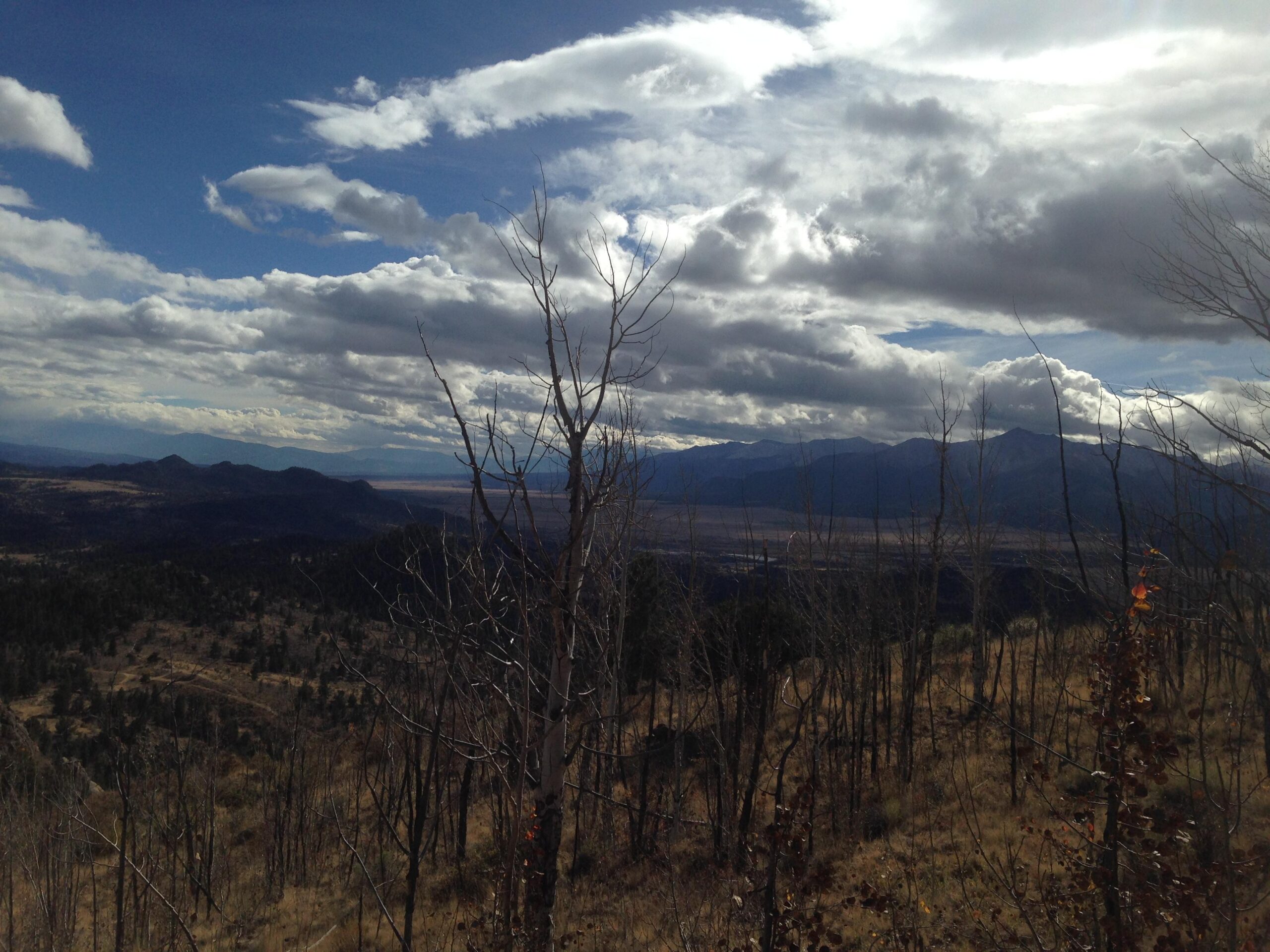 A panoramic view of a mountainous landscape under a partly cloudy sky. In the foreground, dried trees are visible against rolling hills, with the distant mountains stretching across the horizon. The scene captures a blend of natural textures and colors, highlighting the vastness of the terrain. Davis Meadow mountain bike trail.