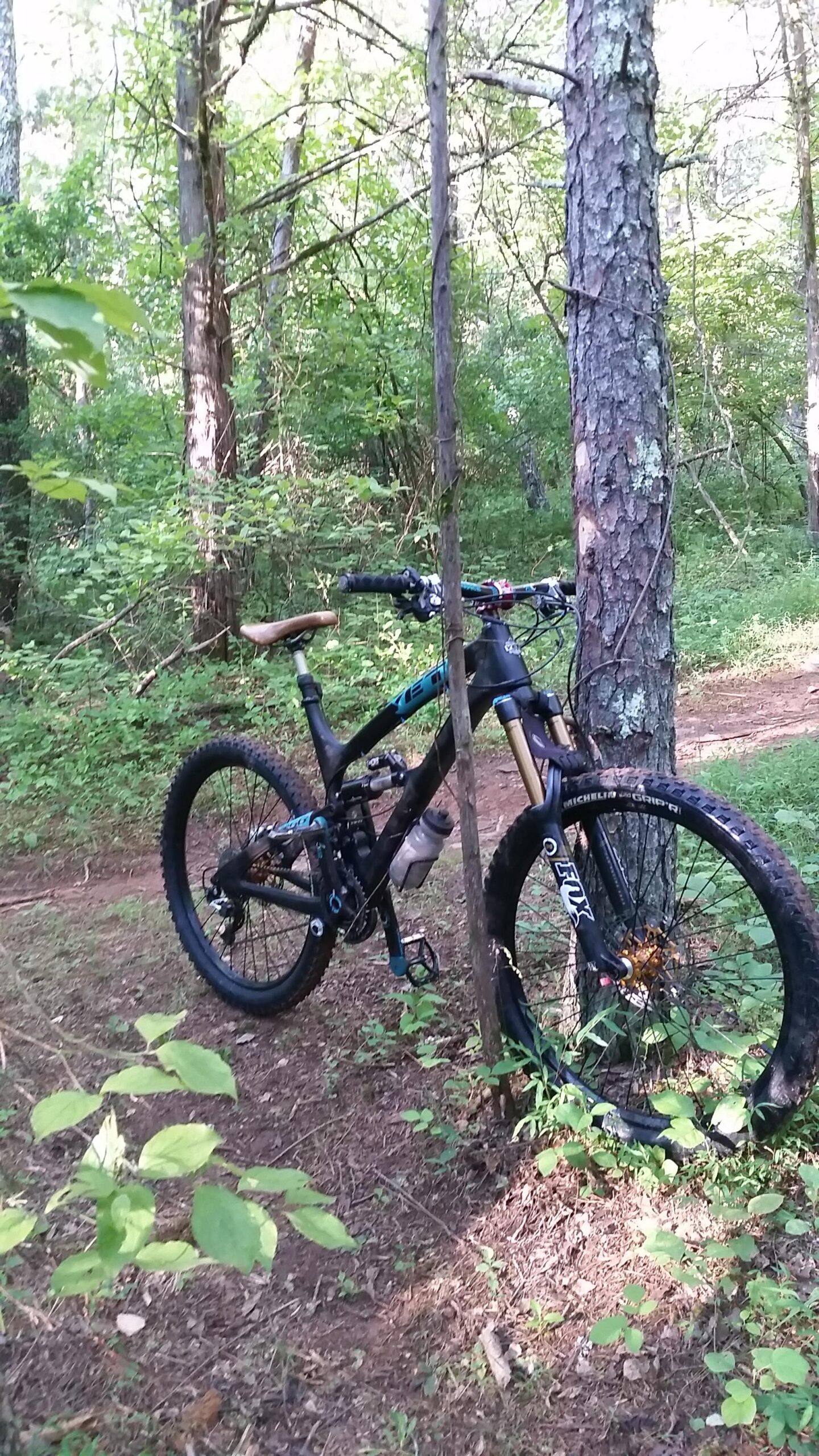Yeti SB66c: A mountain bike leaning against a tree in a lush green forest. The bike has a black frame with turquoise accents and is equipped with a water bottle. Surrounding vegetation includes various shades of green leaves and trees in the background. A dirt path is visible in the distance.