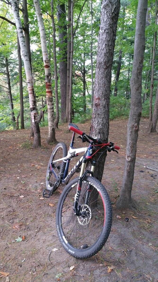 A pair of mountain bikes parked against a tree in a wooded area, surrounded by green foliage and brown forest floor. Don Valley mountain bike trail.