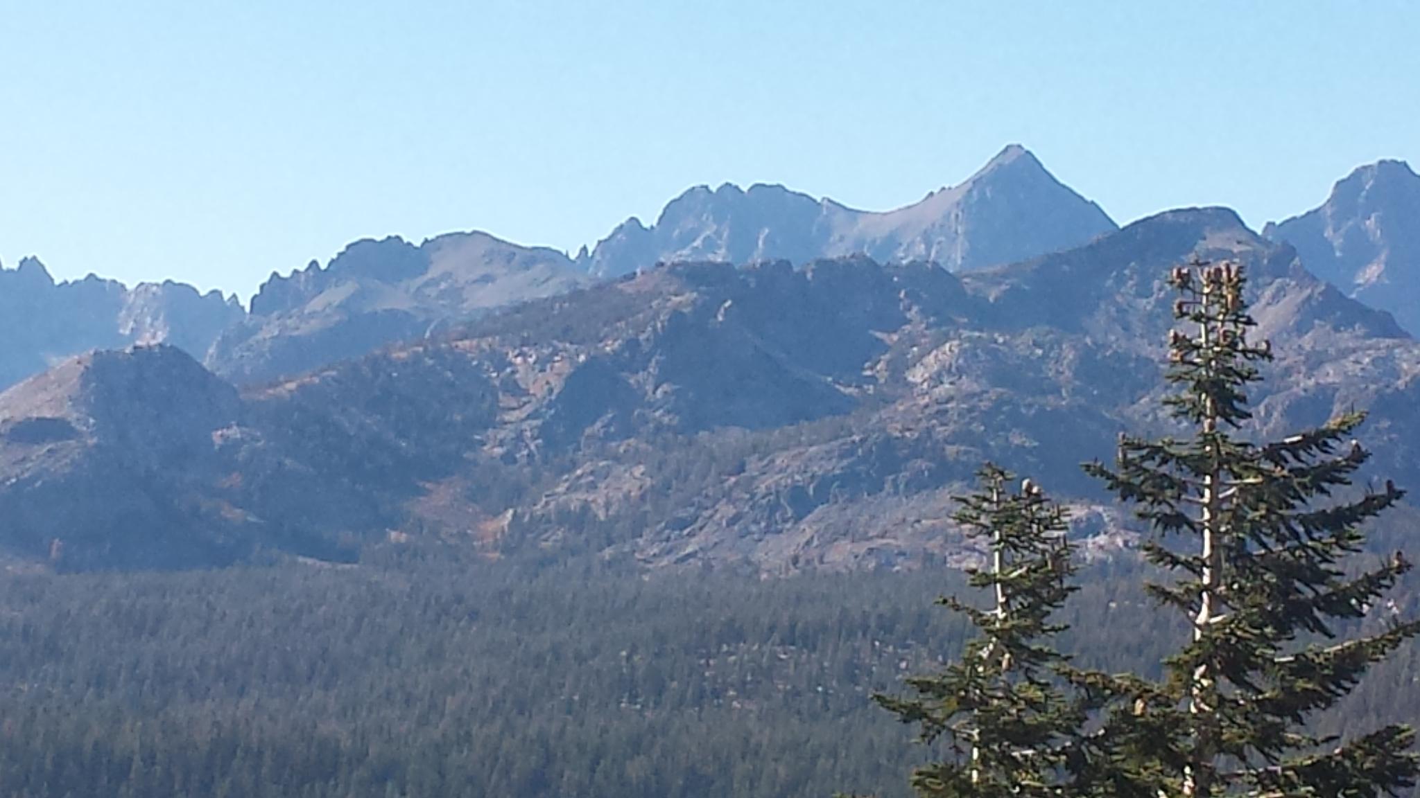 A panoramic view of rugged mountain peaks under a clear blue sky, with green forests in the foreground. The image captures a combination of rocky terrain and coniferous trees, showcasing the natural beauty of a mountainous landscape. Mountain View Singletrack mountain bike trail.