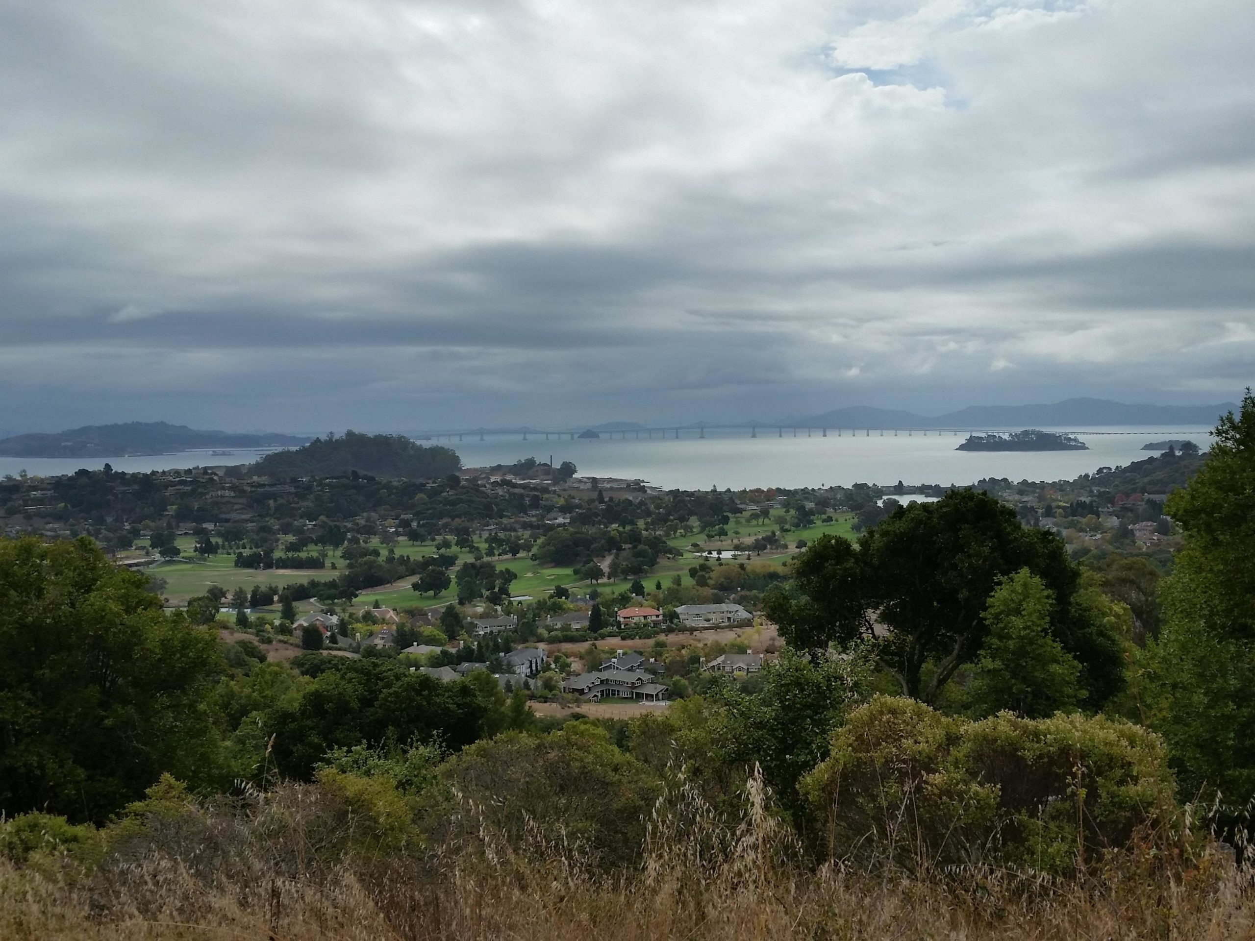 A scenic view of a coastal landscape featuring a bay, an island, and a distant bridge, surrounded by lush greenery and residential areas under a cloudy sky. China Camp mountain bike trail.