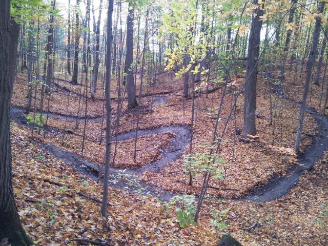 A winding trail through a forest during autumn, surrounded by trees with colorful foliage and a carpet of fallen leaves covering the ground. The path meanders through the woods, creating zigzagging lines in the natural landscape. Puslinch Lake mountain bike trail.