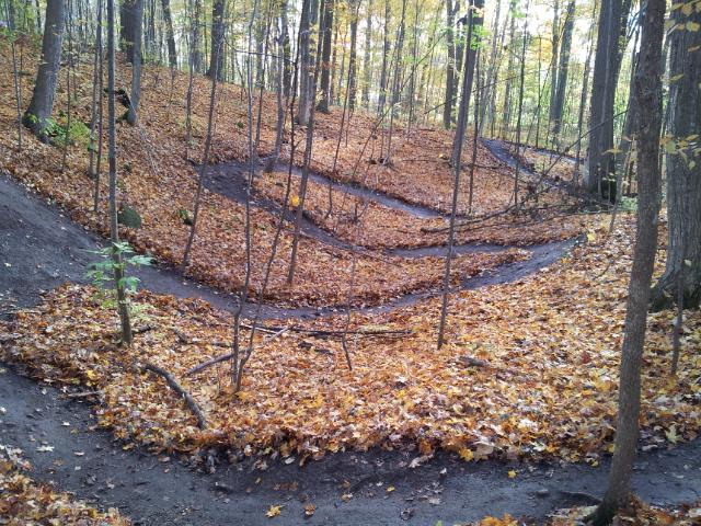 A winding dirt trail surrounded by trees, covered with fallen autumn leaves. The trail features several smooth curves that create a flowing path through the forest, with hints of vibrant colors from the foliage in the background. Puslinch Lake mountain bike trail.