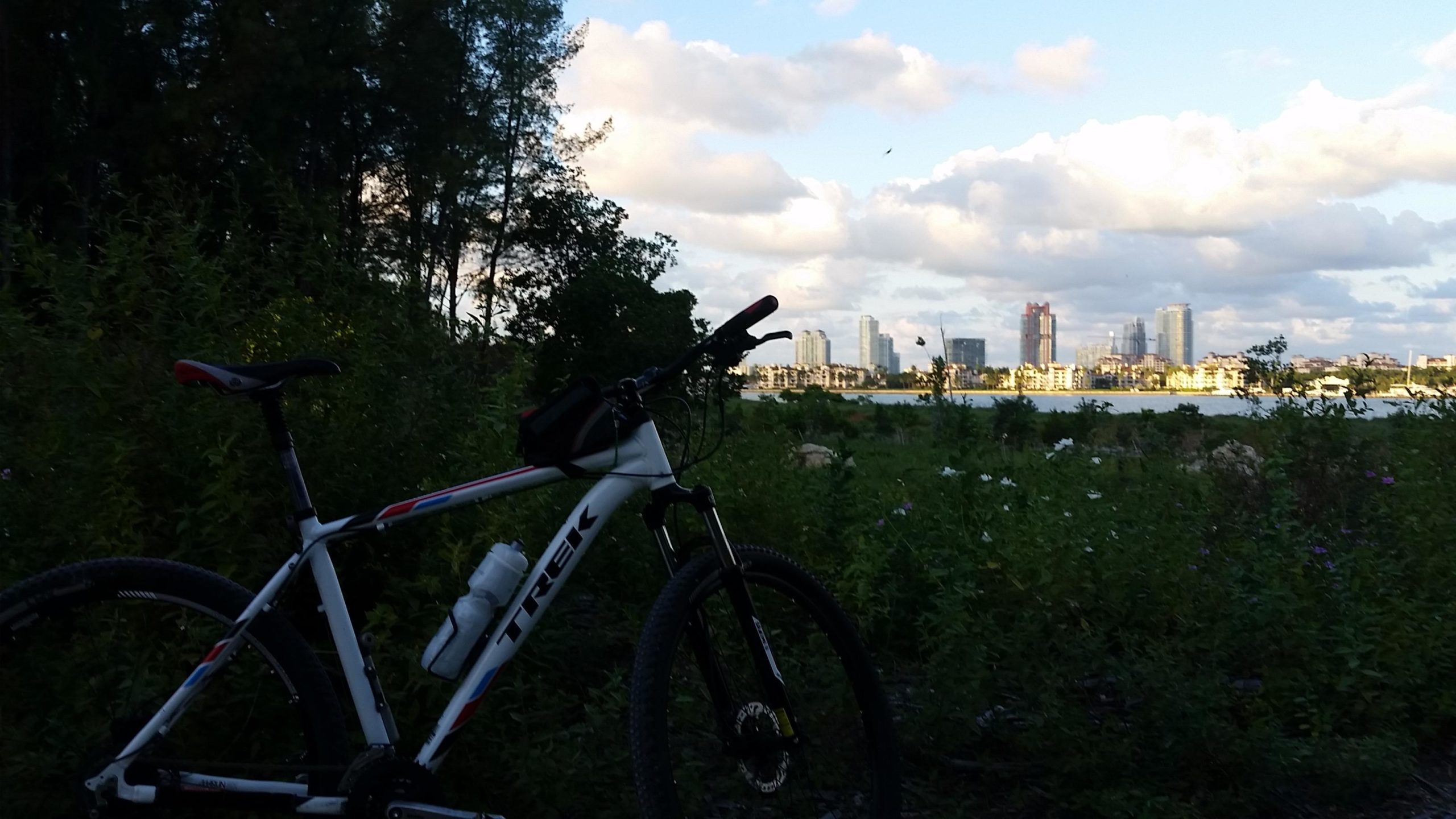 A mountain bike is positioned in the foreground amidst green foliage, with a city skyline visible in the background. The sky is partly cloudy, showcasing a mix of blue and white clouds. The scene captures a natural setting with urban development in the distance, suggesting a peaceful outdoor environment for cycling. Virginia Key North Point mountain bike trail.