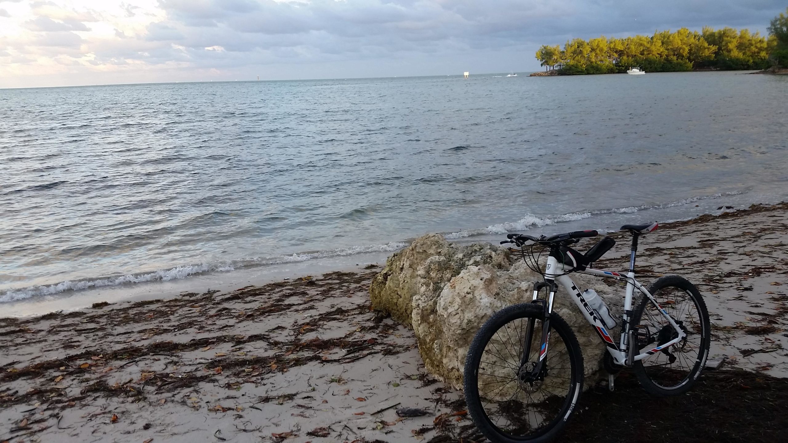 A mountain bike resting on a rocky shore with the ocean in the background, featuring gentle waves lapping at the sandy beach, surrounded by scattered seaweed and greenery along the coastline under a cloudy sky. Virginia Key North Point mountain bike trail.