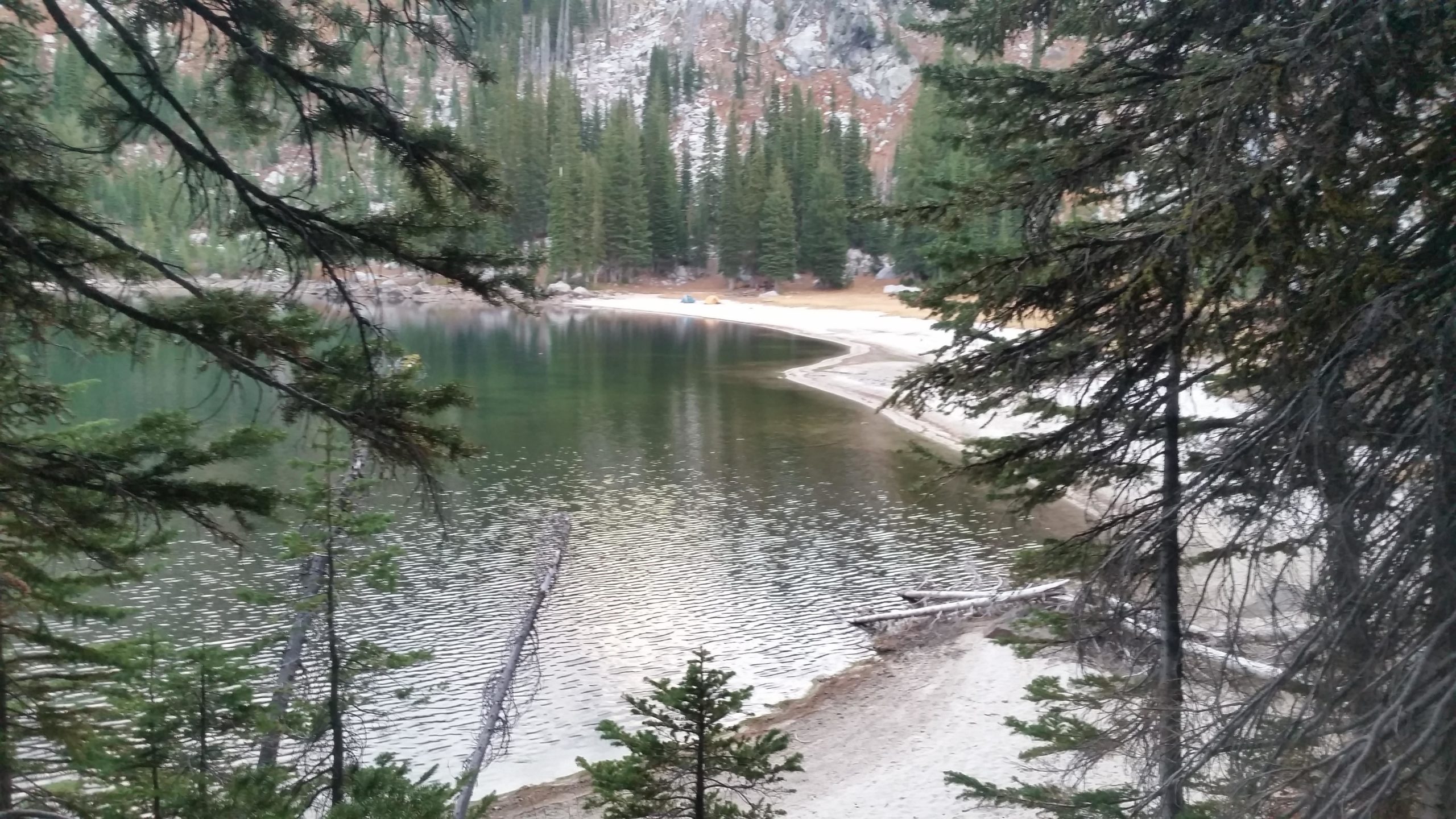 A serene view of a mountain lake surrounded by evergreen trees, featuring a sandy shoreline that curves gently along the water