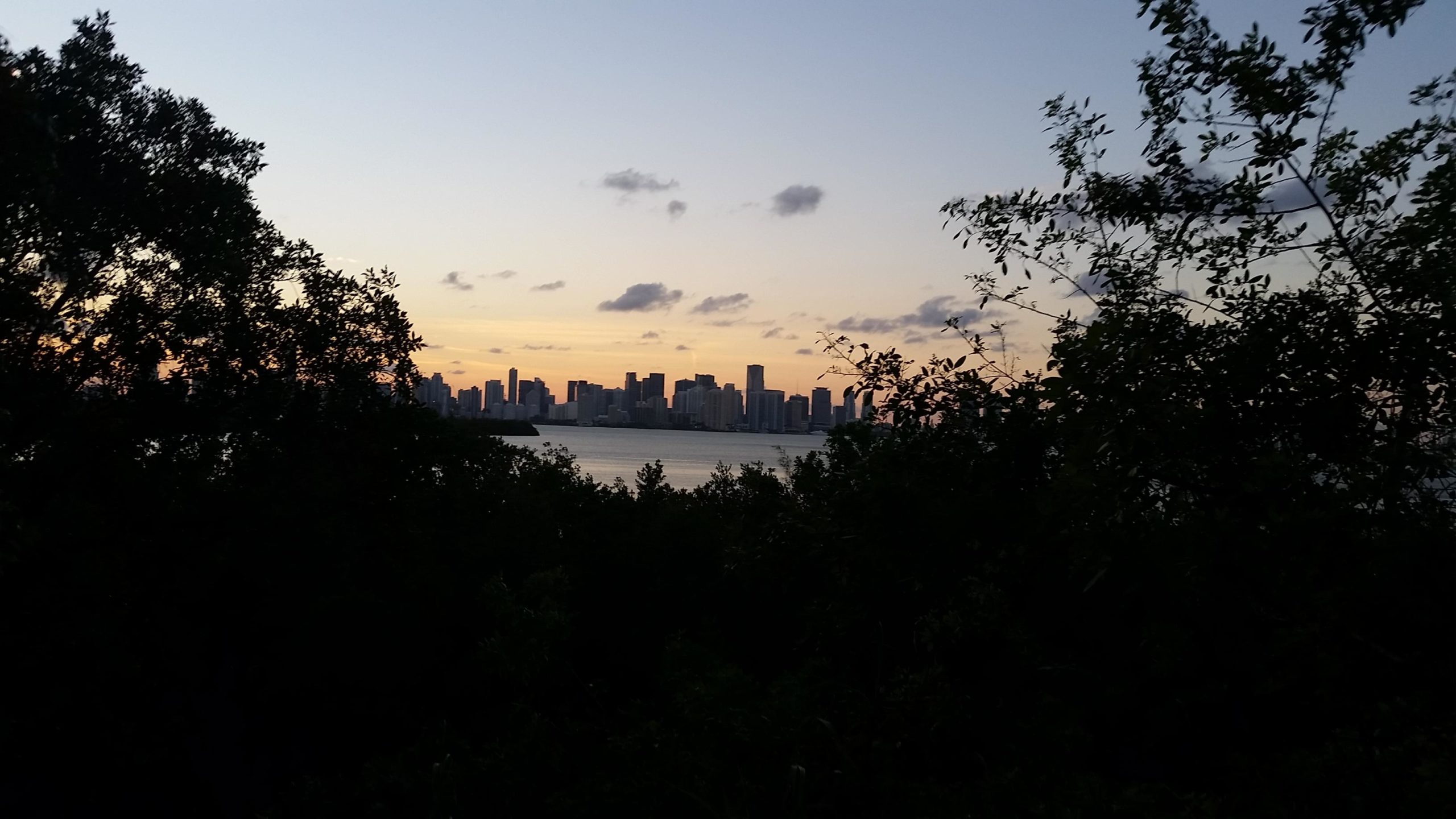 A sunset view of a city skyline over a body of water, framed by silhouettes of trees in the foreground. The sky features soft hues of orange and blue, with scattered clouds. Virginia Key North Point mountain bike trail.