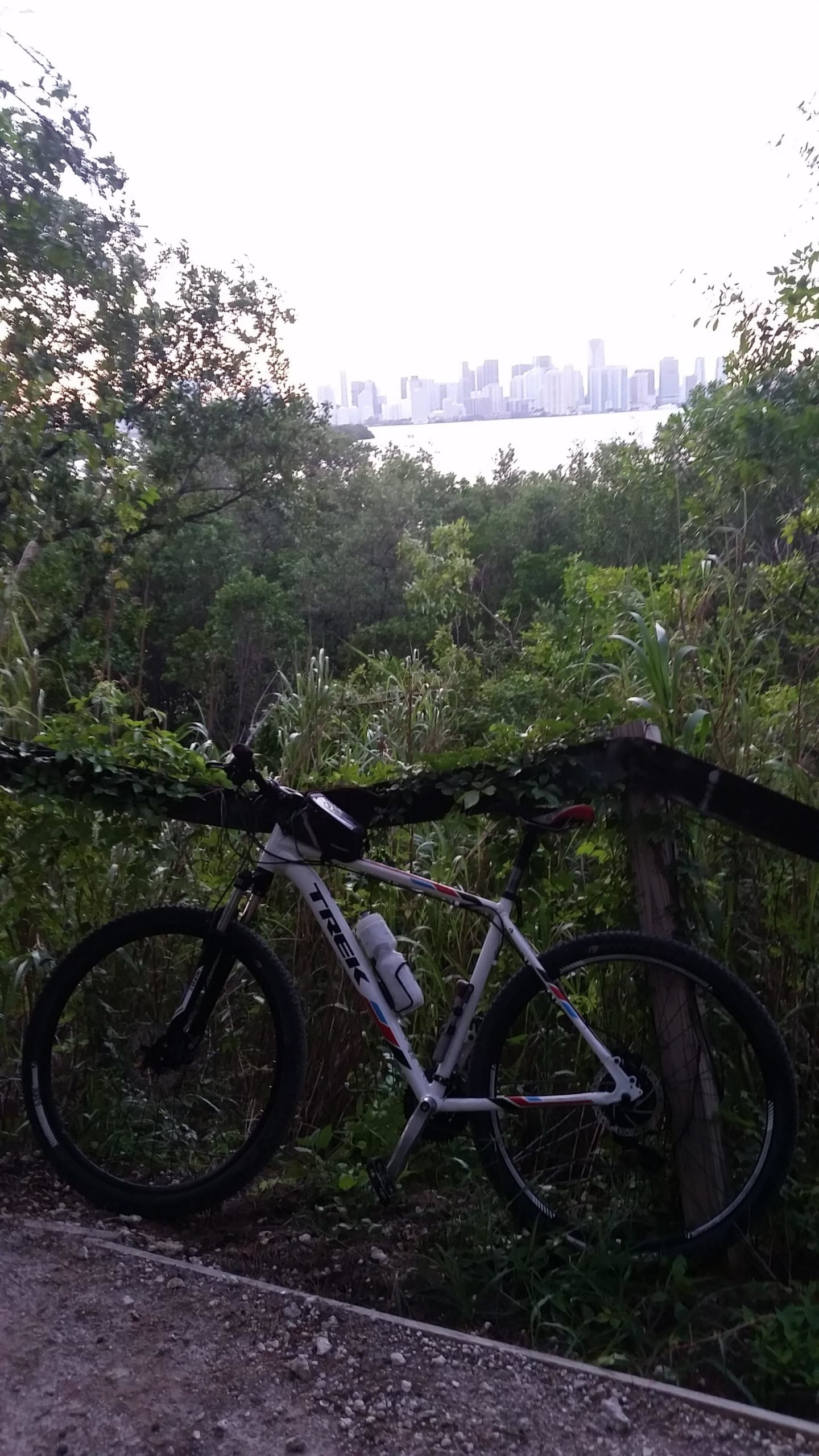 A mountain bike leaning against a wooden fence, surrounded by dense greenery, with a city skyline visible in the background across the water, under a softly lit sky. Virginia Key North Point mountain bike trail.