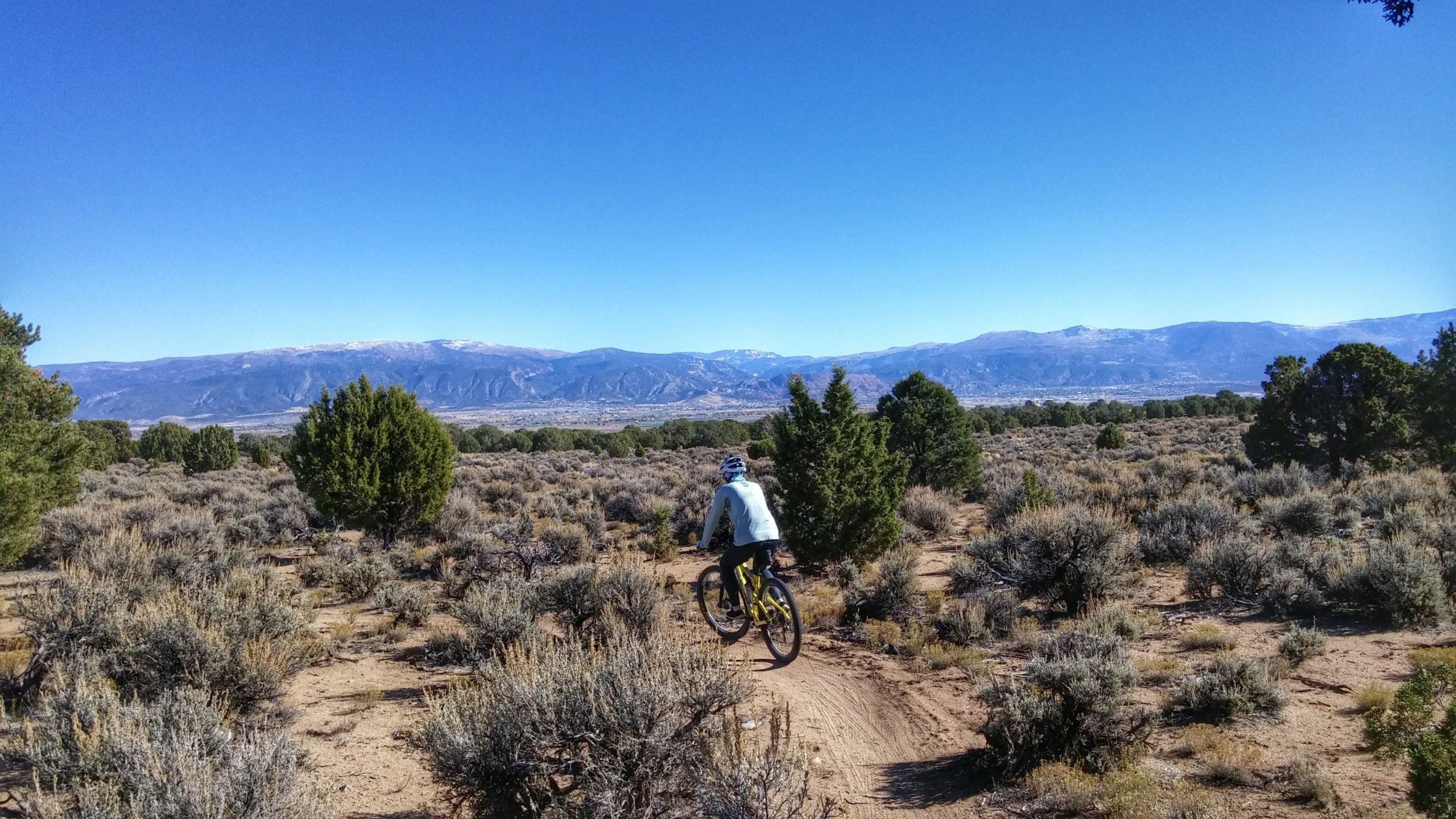 A person riding a mountain bike on a dirt path through a landscape of shrubs and small trees, with mountains in the background under a clear blue sky. Three Peaks Trail System mountain bike trail.