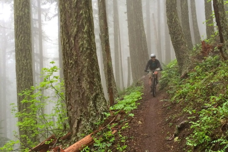 A cyclist riding along a narrow, muddy trail surrounded by tall, mist-covered trees in a dense forest. The scene is shrouded in fog, creating a serene and mysterious atmosphere. Lush greenery and fallen logs can be seen along the trail.