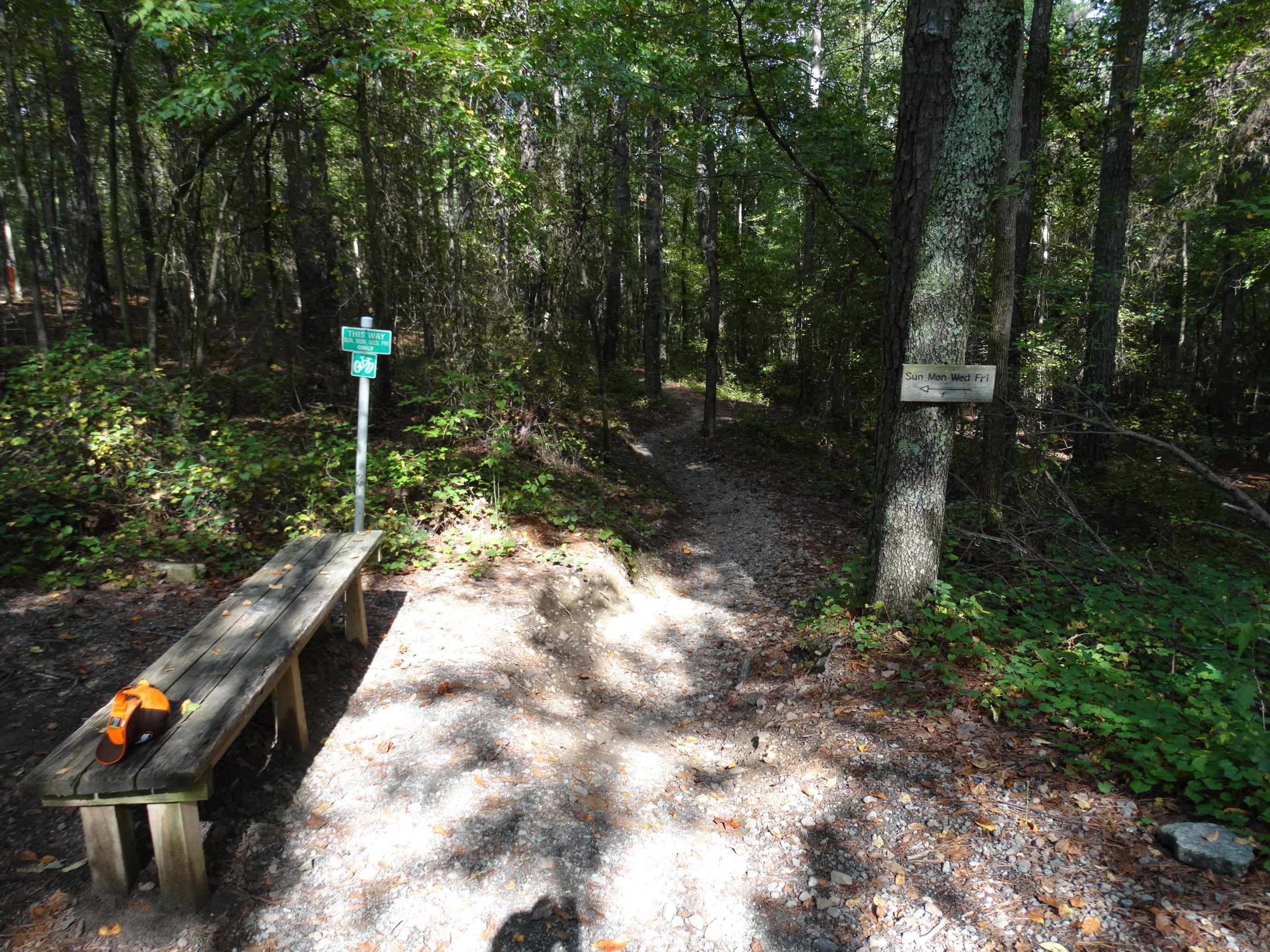 A wooden bench beside a gravel path in a dense forest, with a green directional sign indicating a bike trail. To the right, a tree trunk features a wooden sign showing "Sun Mon Wed Fri" with an arrow pointing down the trail. Sunlight filters through the trees, illuminating the scene. Big Creek mountain bike trail.