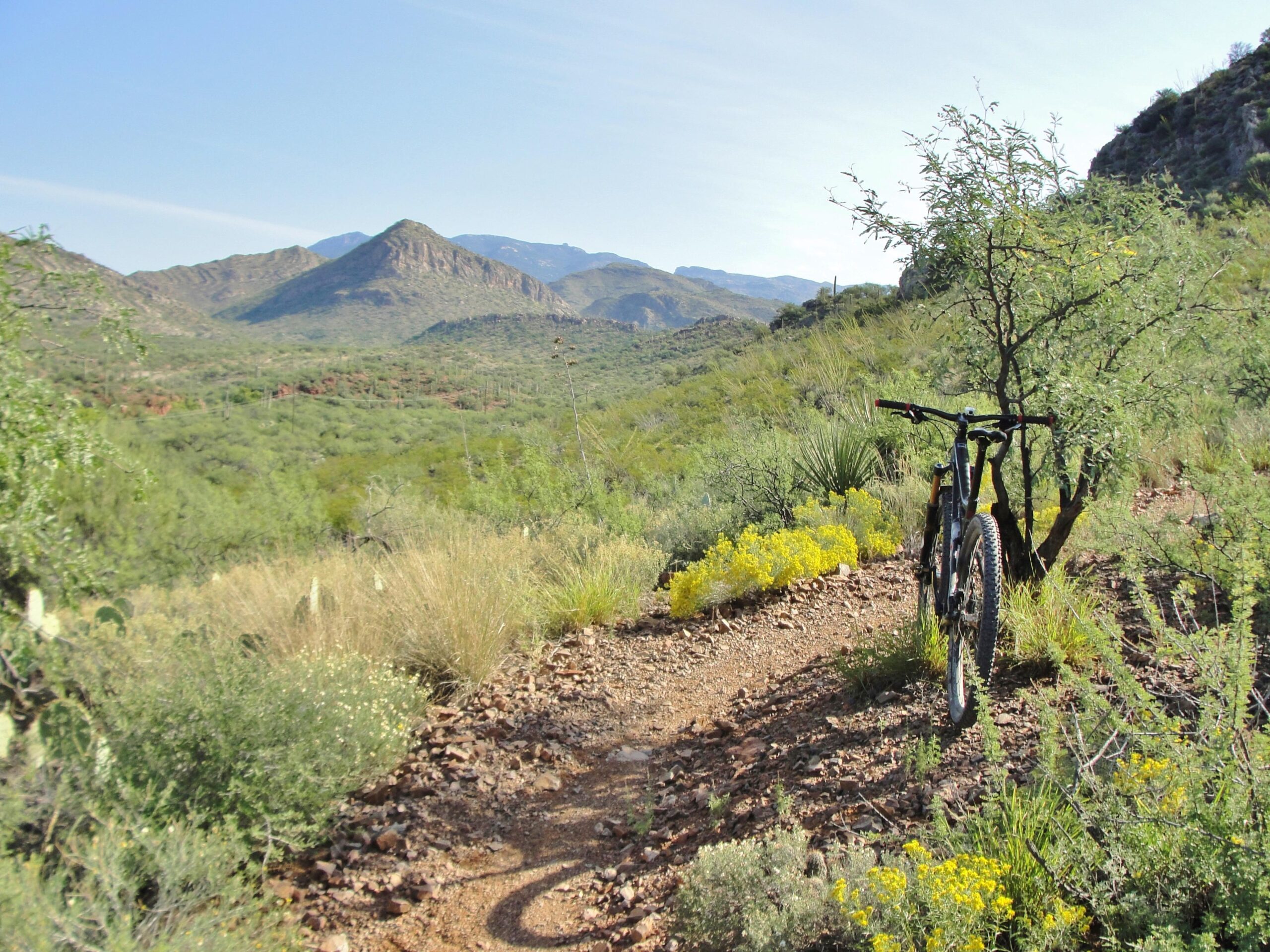 A mountain bike stands on a narrow dirt trail surrounded by lush vegetation and wildflowers, with rolling green hills and mountains in the background under a clear blue sky. Arizona Trail: Cienega Corridor mountain bike trail.
