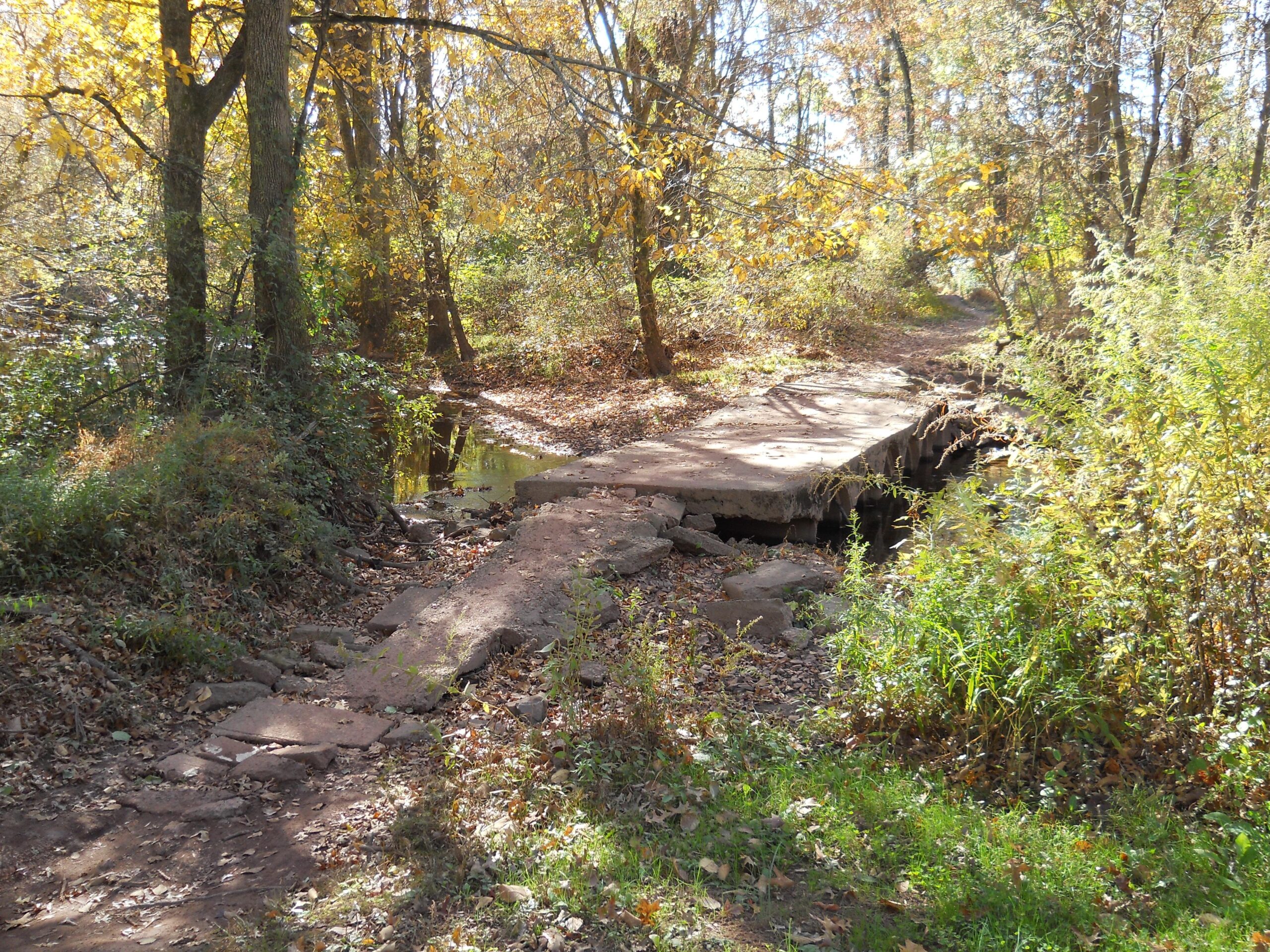 A serene forest scene featuring a damaged concrete path leading over a small creek, surrounded by trees with autumn foliage. The ground is covered with fallen leaves, and a narrow trail can be seen in the background. Sunlight filters through the trees, creating a warm and inviting atmosphere. Six Mile Run mountain bike trail.