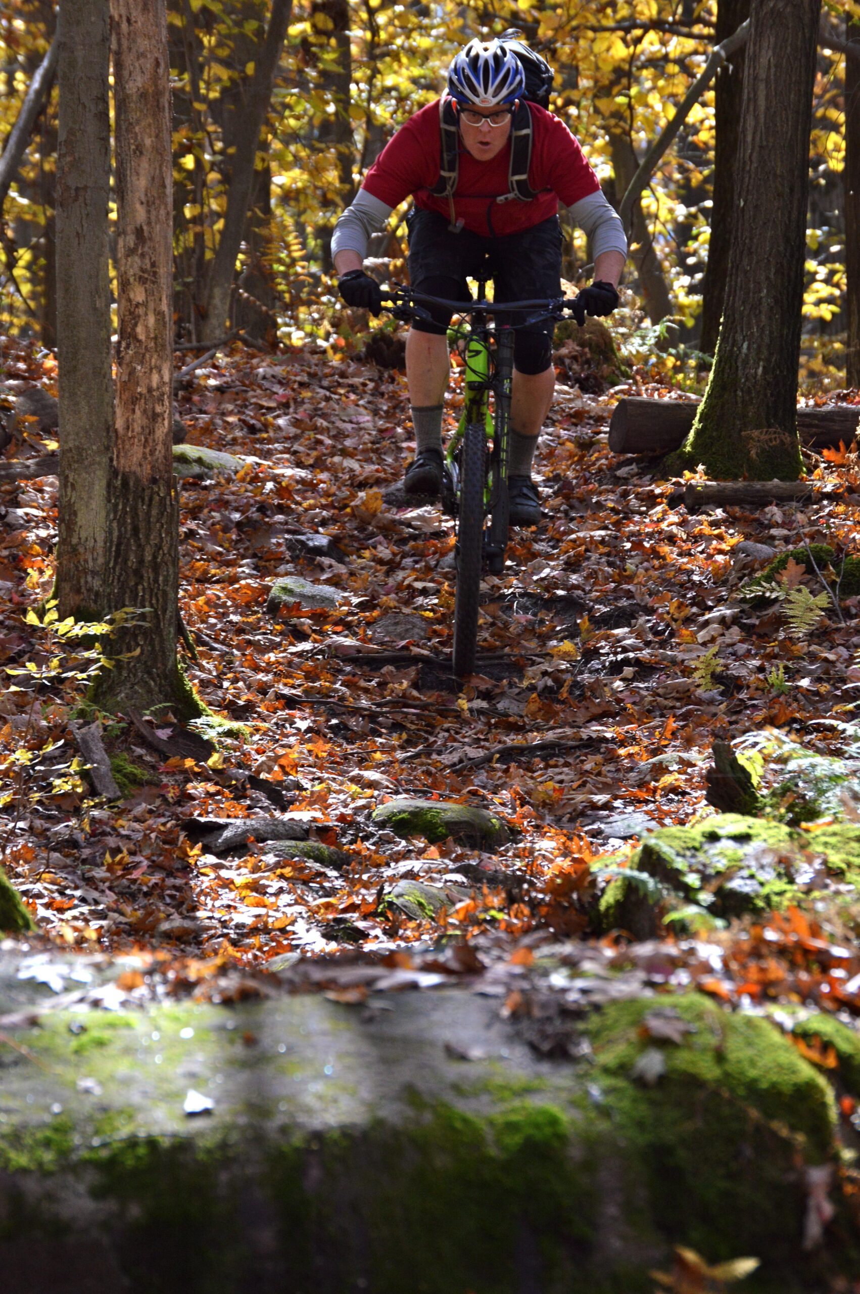 Mountain biker navigating a rocky trail covered in autumn leaves, surrounded by trees with yellow foliage. The rider is wearing a red shirt, helmet, and sunglasses, focusing intently on the path ahead. Big Bear Lake Trail Center mountain bike trail.