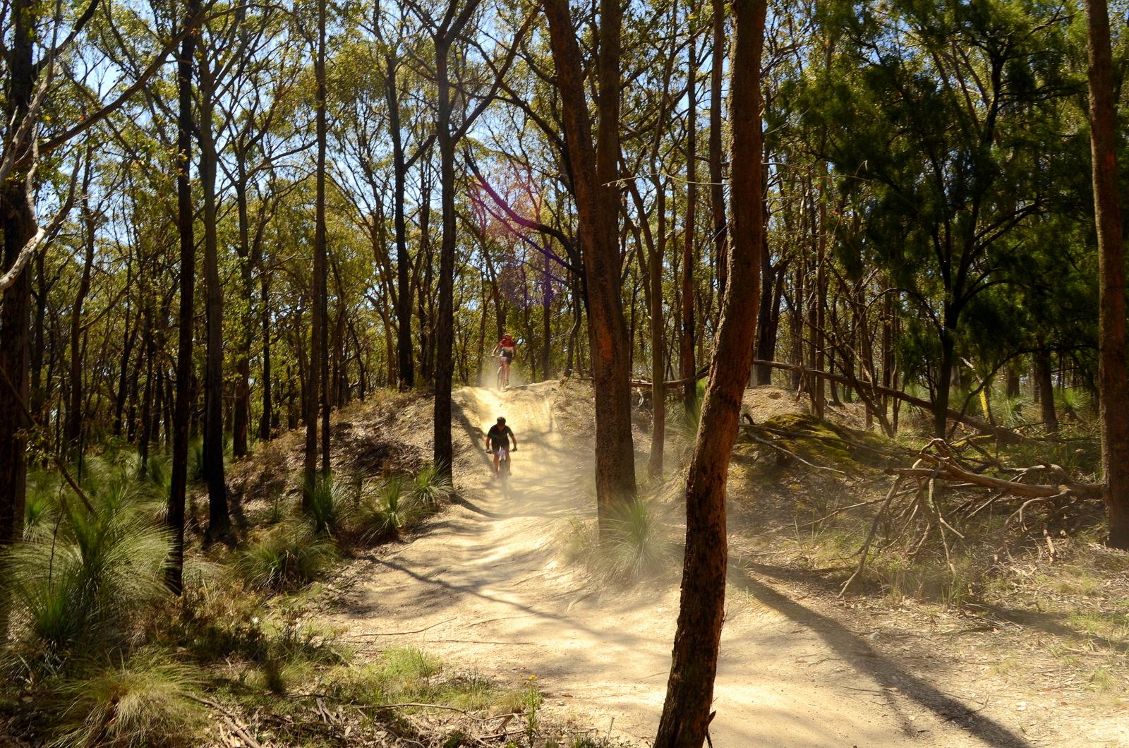 Two mountain bikers ride along a dirt trail through a lush, wooded area. Dust is kicked up as they navigate a hilly path, surrounded by tall trees and vibrant greenery under a clear blue sky. Pax Hill mountain bike trail.