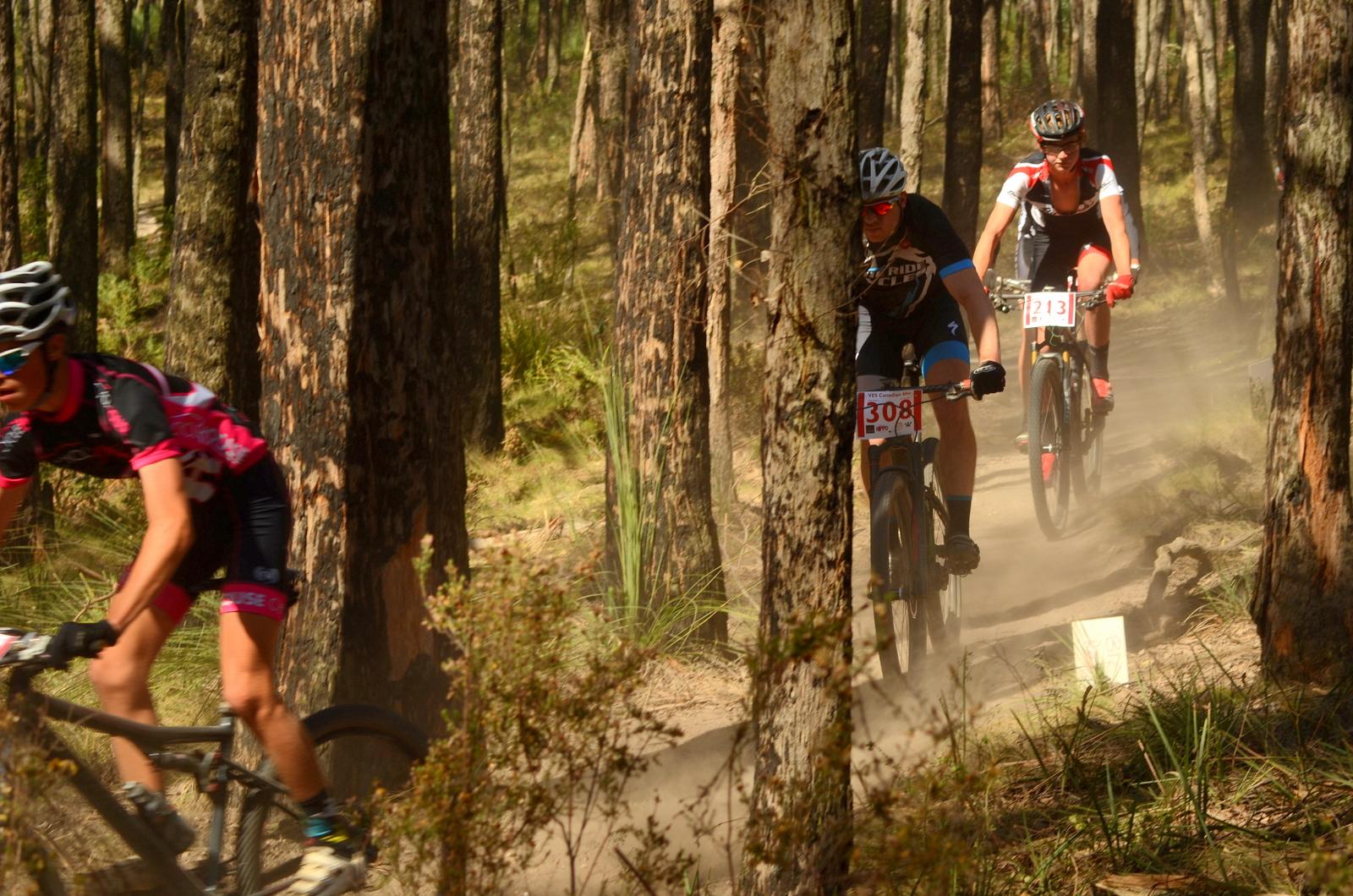Three mountain bikers racing on a dusty trail through a forest of tall trees. The cyclists are dressed in colorful jerseys and helmets, with the numbers 308 and 213 visible on their bikes. Dust is being kicked up as they navigate the path, surrounded by greenery. Pax Hill mountain bike trail.