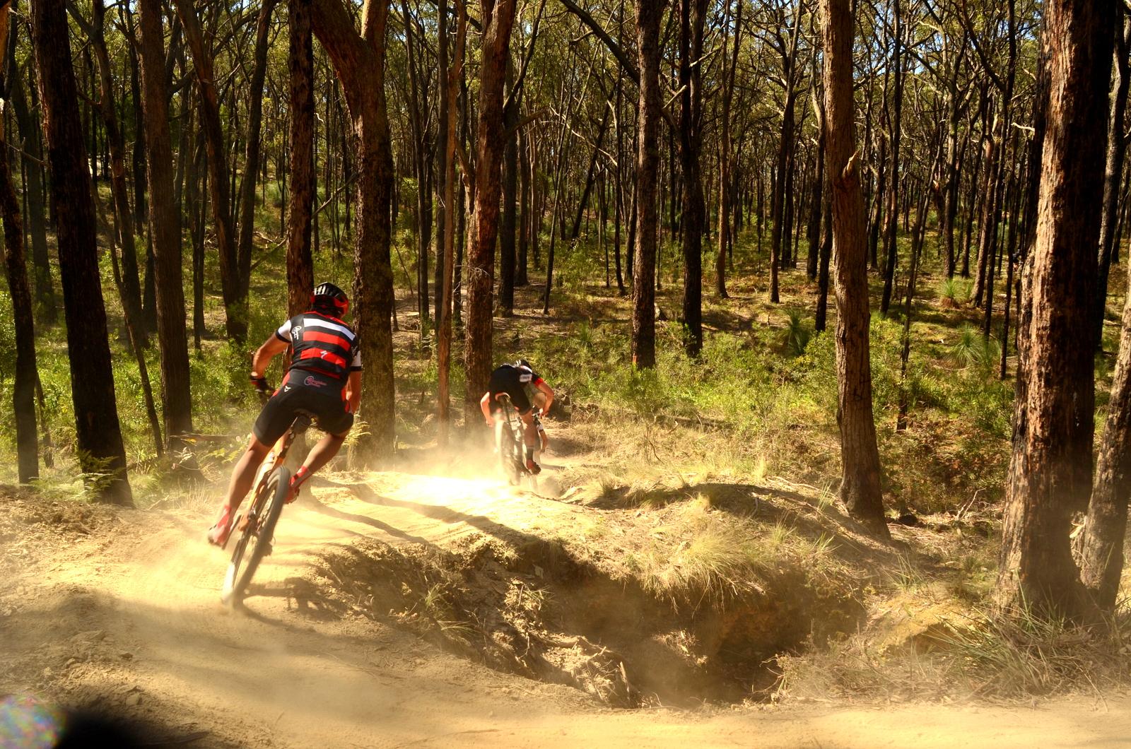 Two mountain bikers navigate a dusty trail through a dense forest of tall trees. Dust rises behind them as they speed along the winding path in a sunny, outdoor setting. The scene captures the thrill of biking amid nature. Pax Hill mountain bike trail.