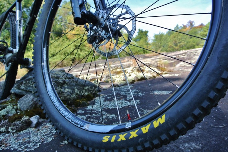 Close-up view of a mountain bike wheel, featuring a thick tire with "MAXXIS" branding and a disc brake. The background shows a natural setting with greenery and rocky terrain.