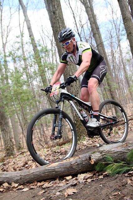 Scott Scale 920: A cyclist in athletic clothing and sunglasses rides a mountain bike over a fallen log along a wooded trail, surrounded by trees and foliage. The scene is set on a sunny day with a clear blue sky visible through the branches.